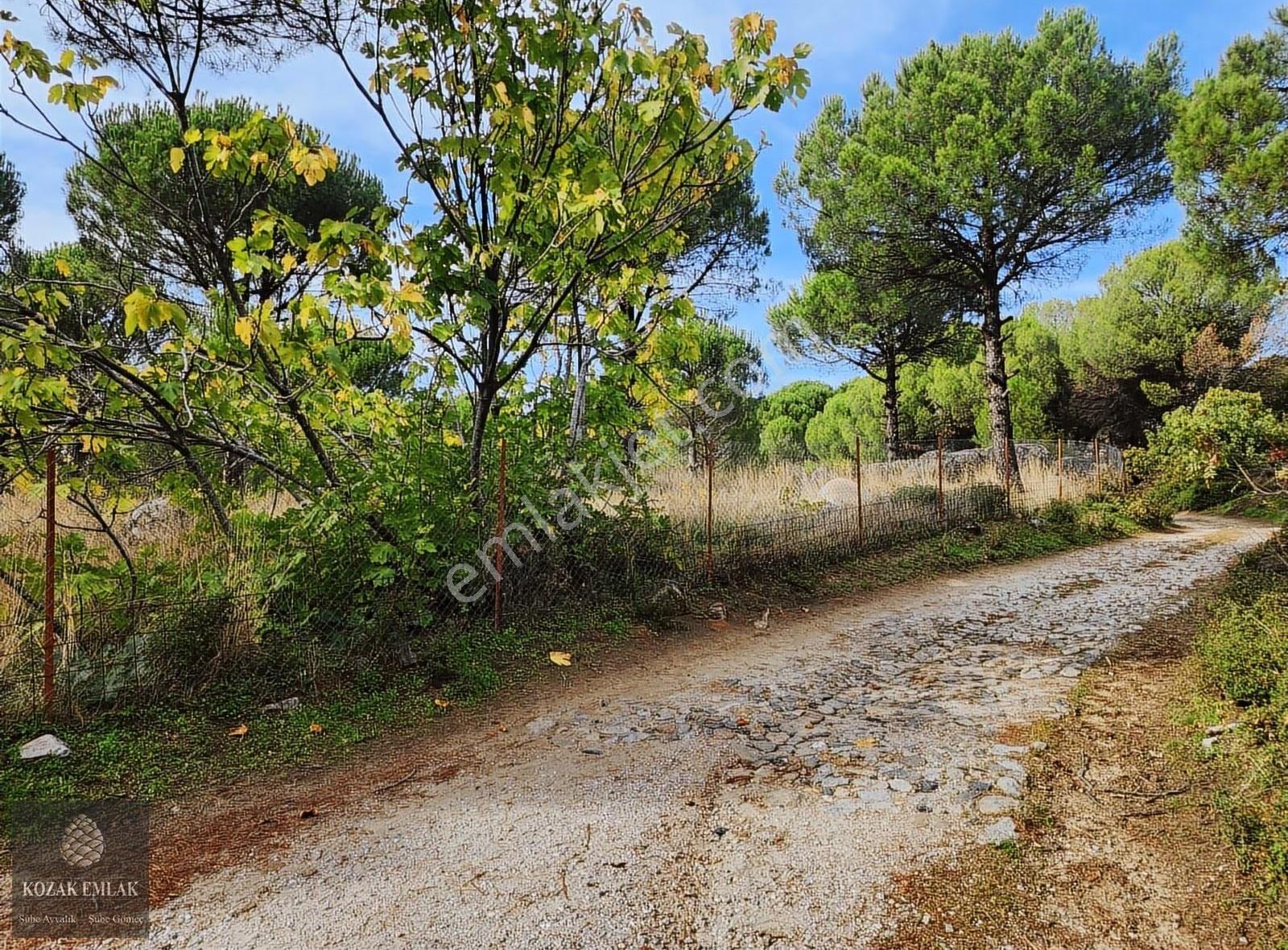 Bergama Kozak Ayvatlar Üzüm Bağı Müstakil Tapu Satılık - Görsel 29