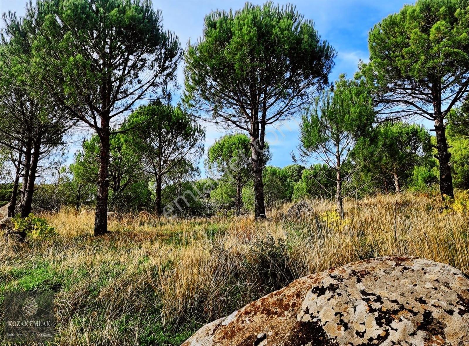 Bergama Kozak Ayvatlar Üzüm Bağı Müstakil Tapu Satılık - Görsel 20