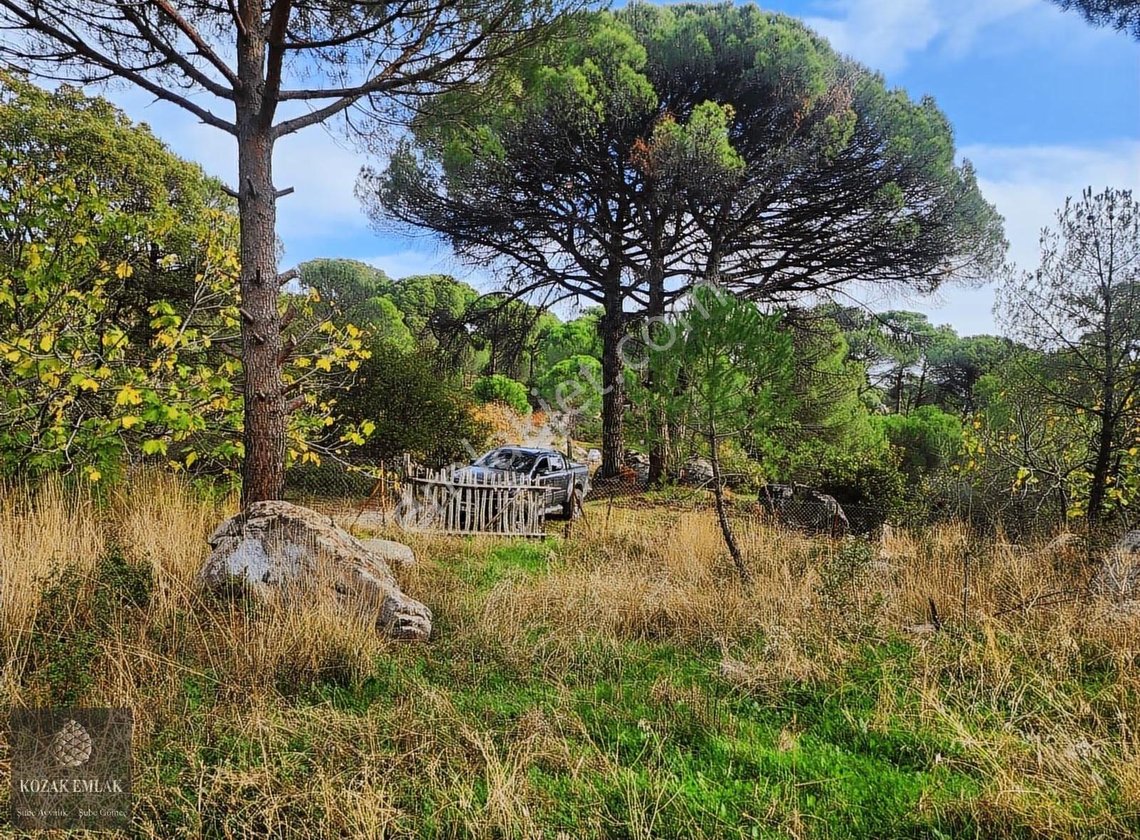 Bergama Kozak Ayvatlar Üzüm Bağı Müstakil Tapu Satılık - Görsel 21