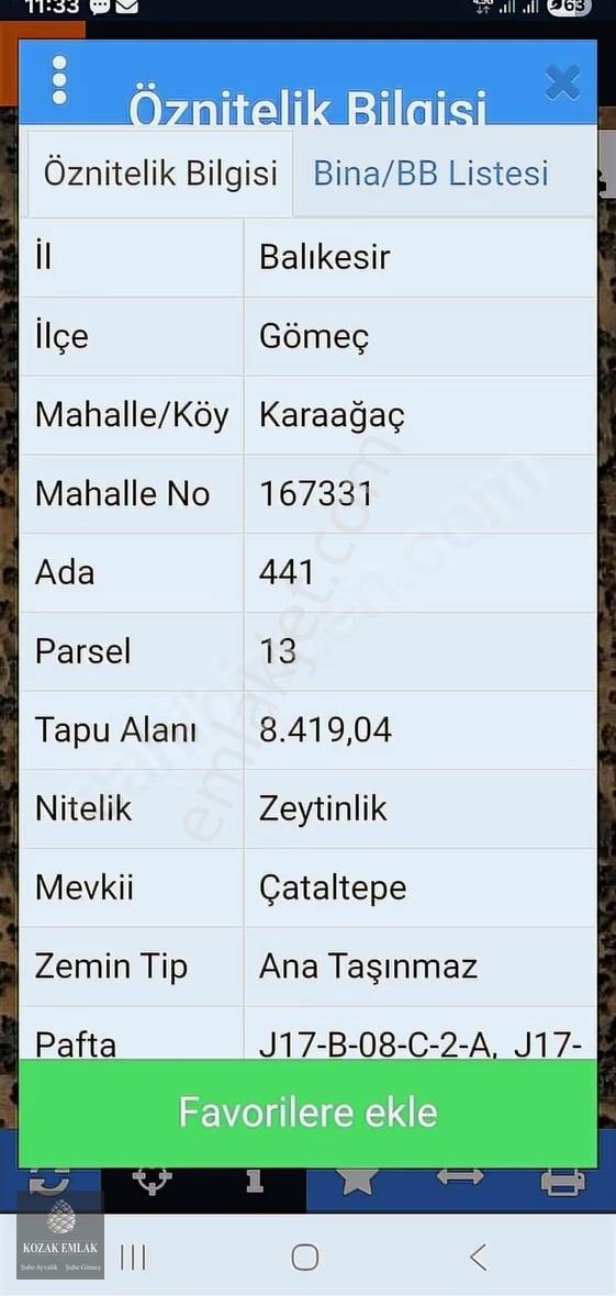 Balıkesir Gömeç Karaağaç 8.419 M2 Zeytinlik Satılık - Görsel 9