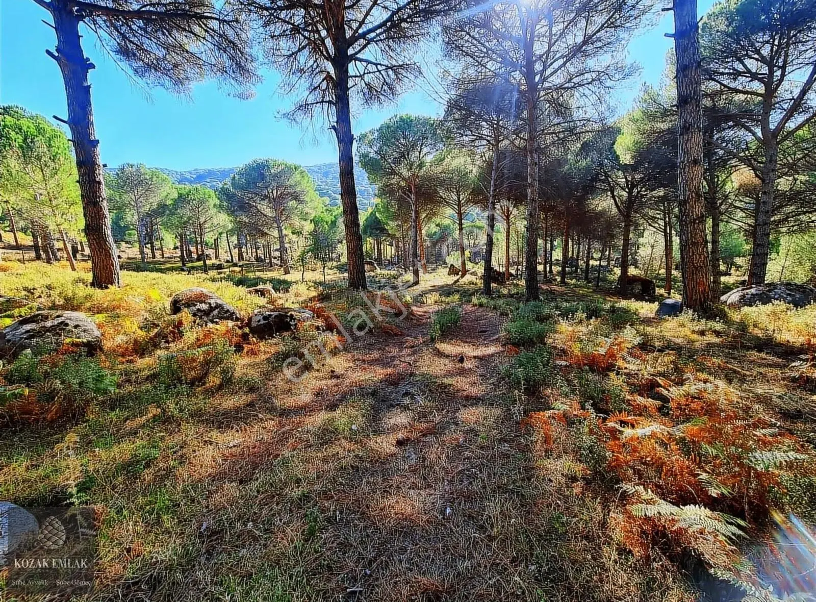 Bergama Kozak Aşağıbey Köyü Fıstıklık Tarım İmarlı Satılık