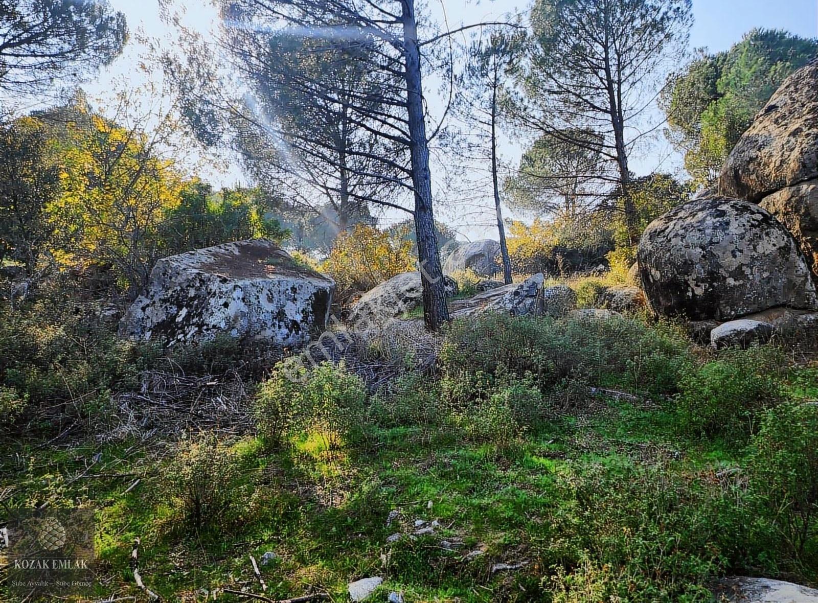 Bergama Kozak Okçular Köyü Tarım İmarlı Bağ Satılık - Görsel 30