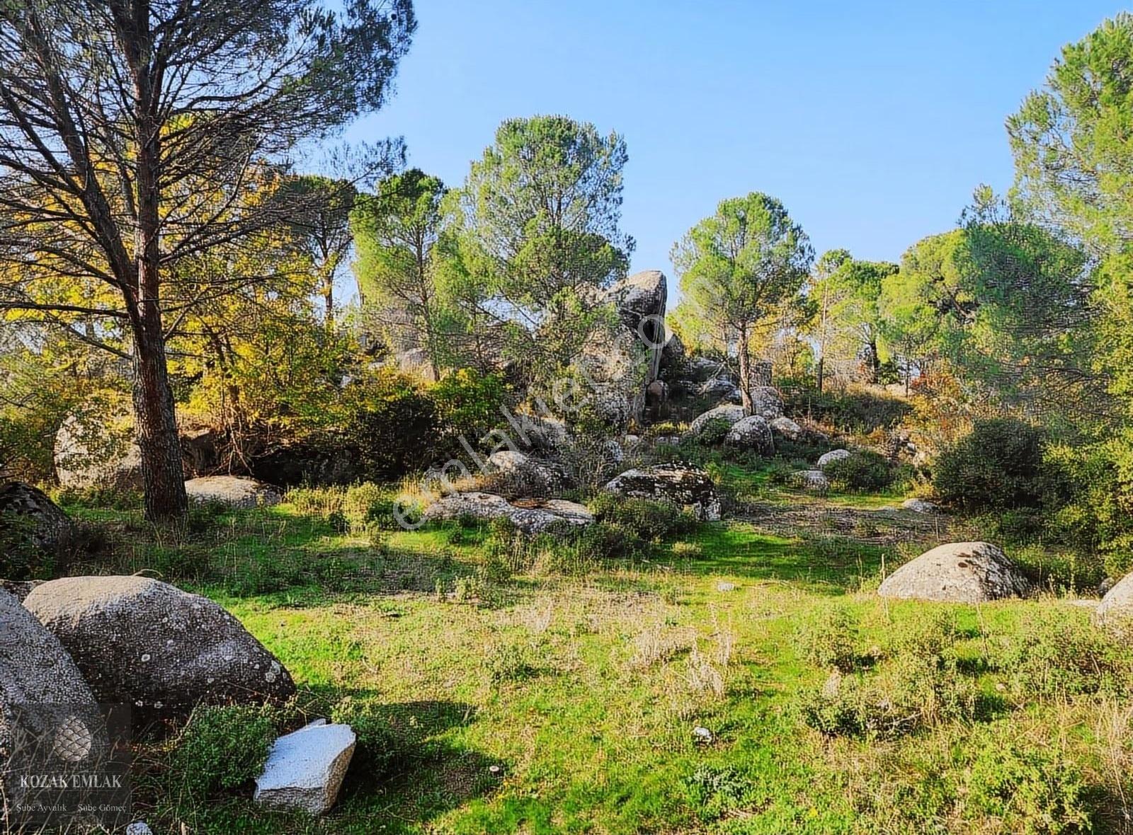 Bergama Kozak Okçular Köyü Tarım İmarlı Bağ Satılık - Görsel 35