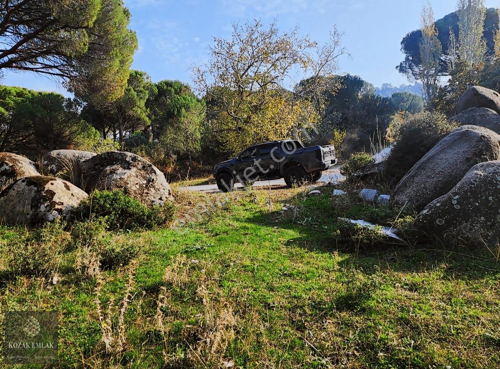 Bergama Kozak Okçular Köyü Tarım İmarlı Bağ Satılık - Görsel 13