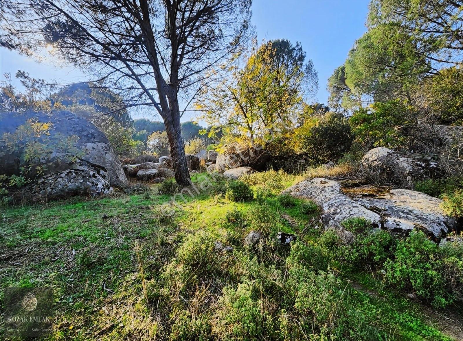 Bergama Kozak Okçular Köyü Tarım İmarlı Bağ Satılık - Görsel 23