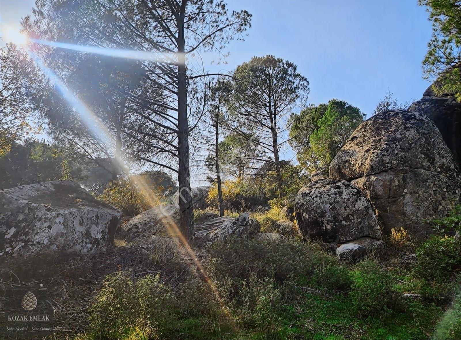 Bergama Kozak Okçular Köyü Tarım İmarlı Bağ Satılık - Görsel 26