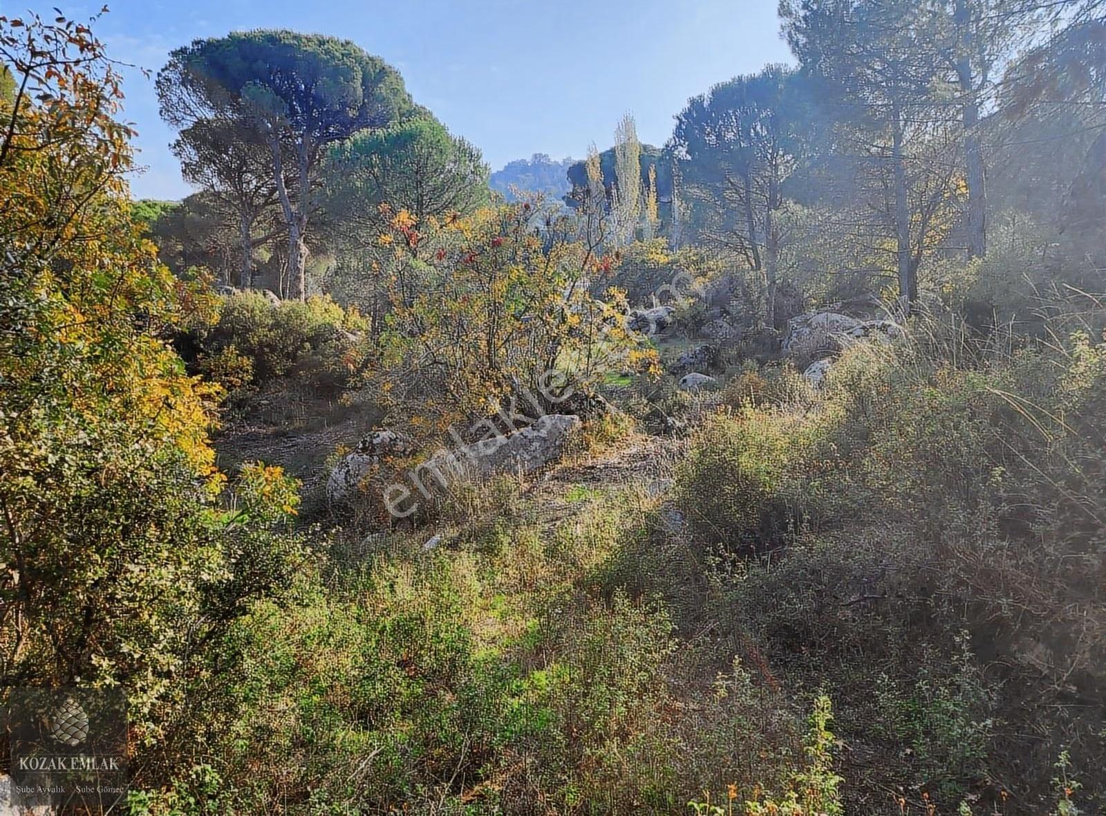Bergama Kozak Okçular Köyü Tarım İmarlı Bağ Satılık - Görsel 11