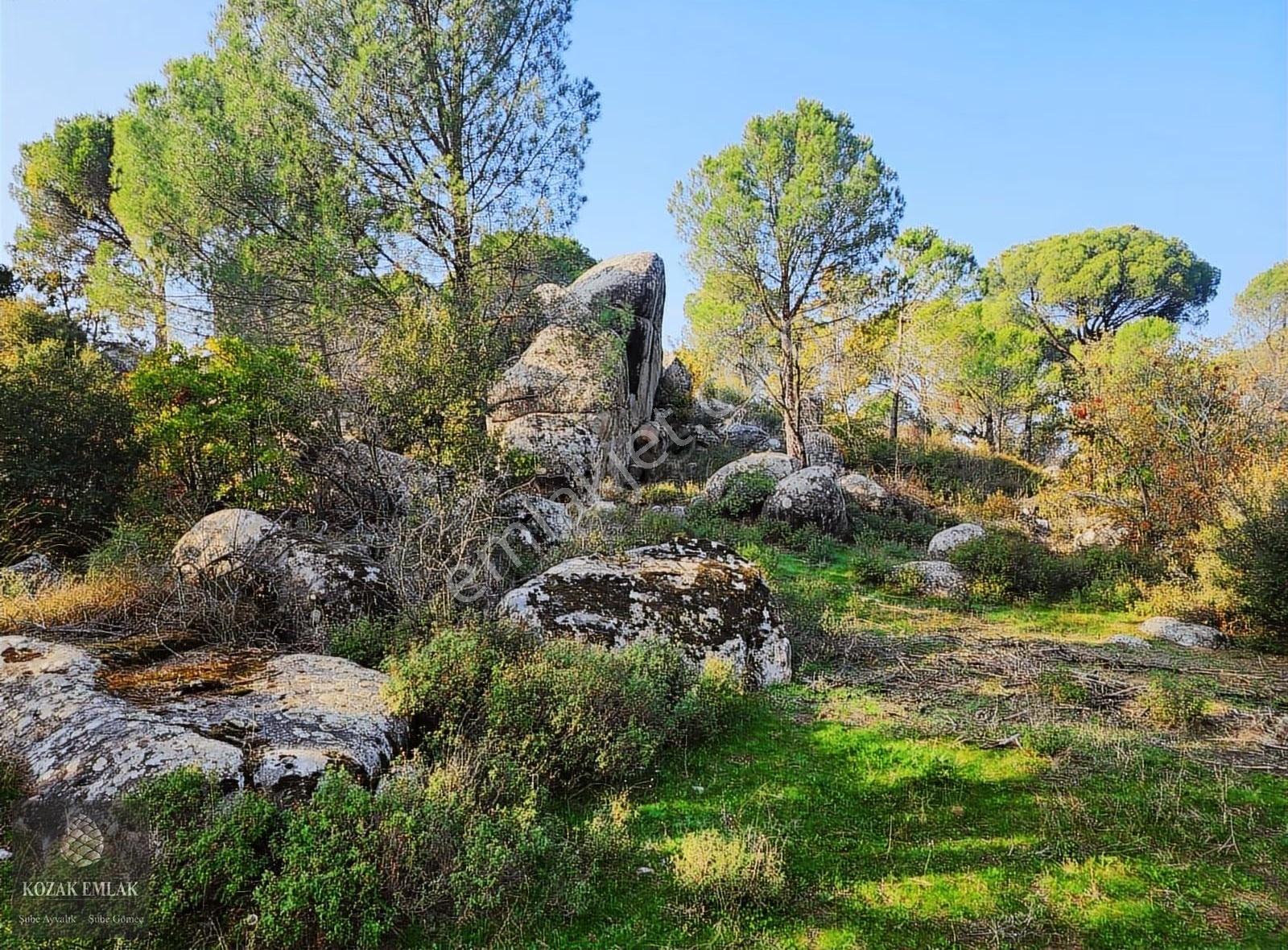 Bergama Kozak Okçular Köyü Tarım İmarlı Bağ Satılık - Görsel 25