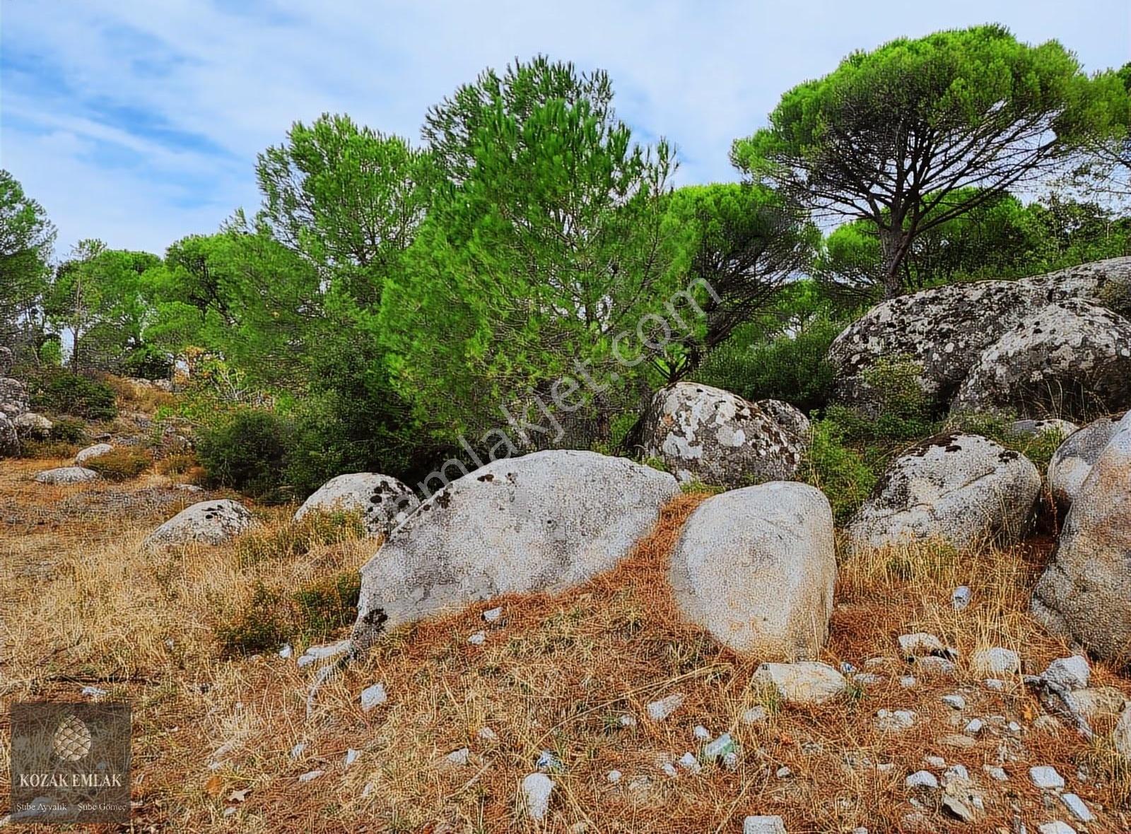 Bergama Kozak Okçular Köyü Tarım İmarlı Bağ Satılık - Görsel 16