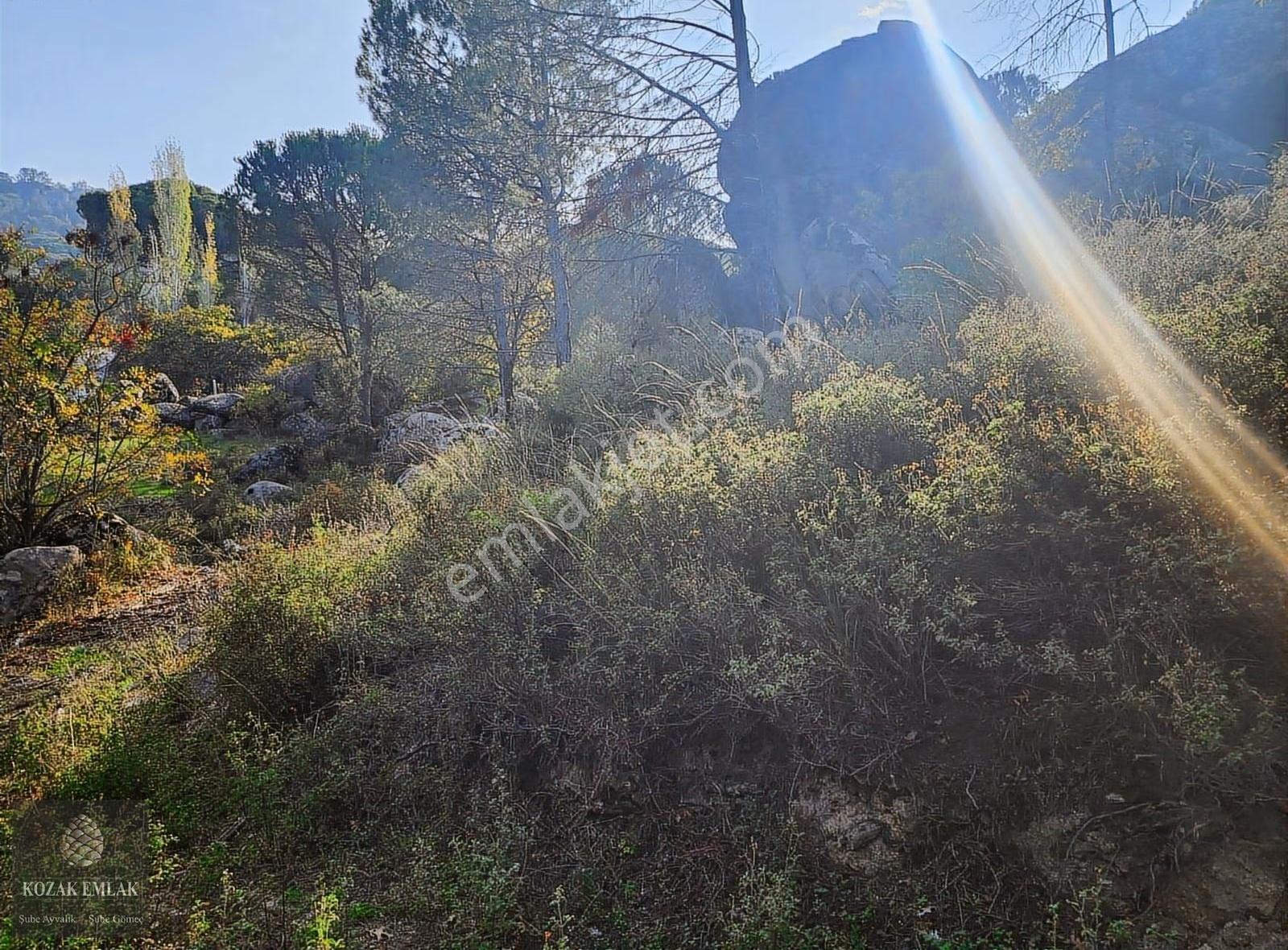 Bergama Kozak Okçular Köyü Tarım İmarlı Bağ Satılık - Görsel 4