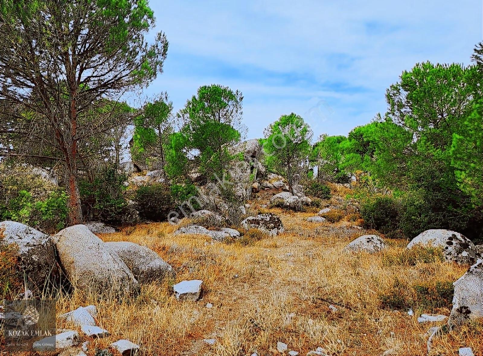 Bergama Kozak Okçular Köyü Tarım İmarlı Bağ Satılık - Görsel 14