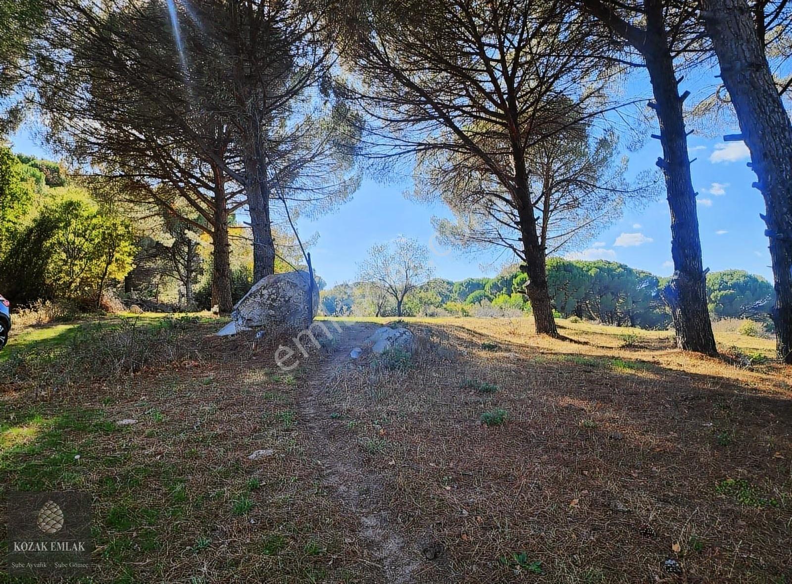 Bergama Kozak Yaylasın Doğa Harikası Müstakil Tapulu Bağ - Görsel 20