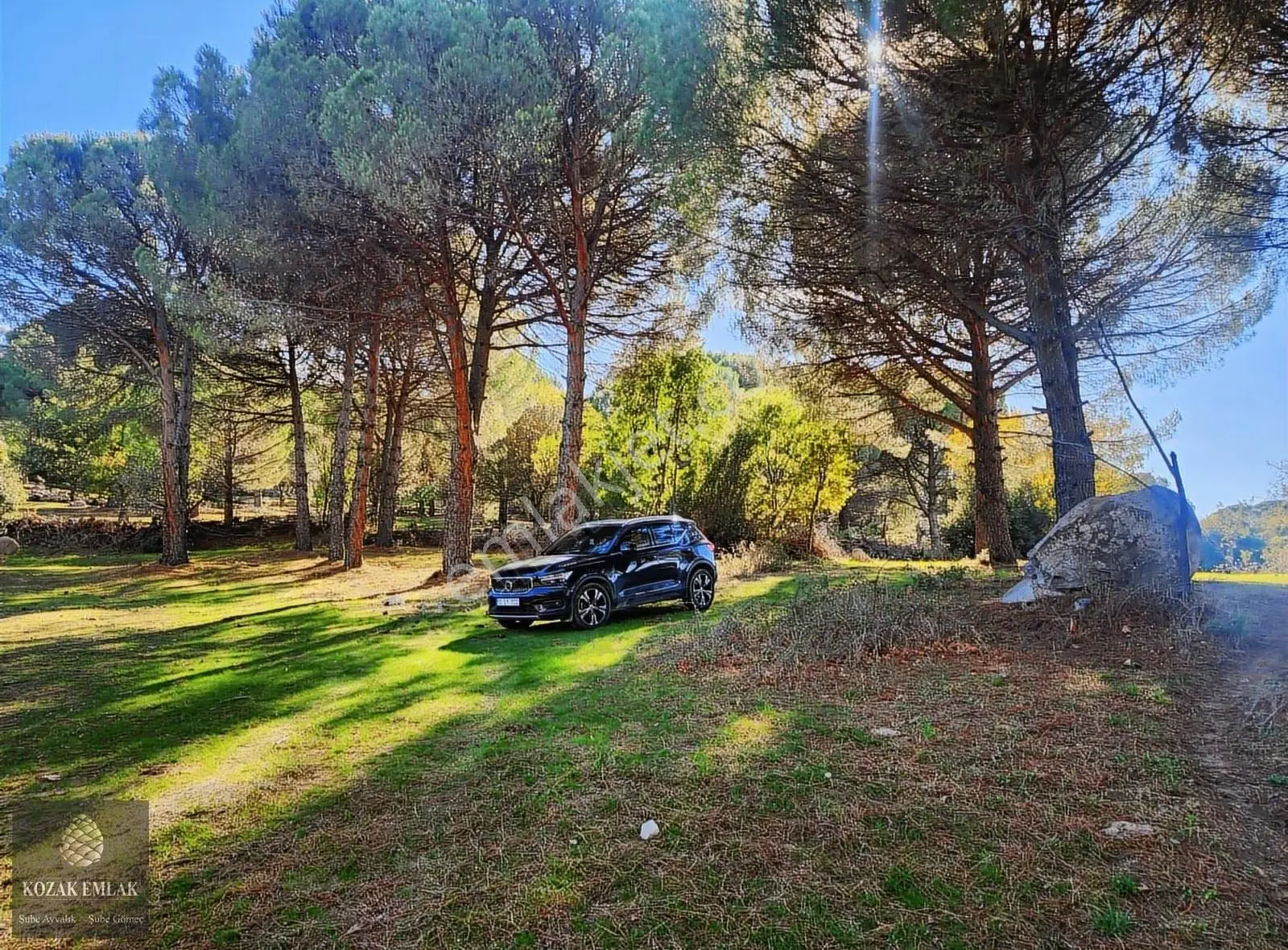 Bergama Kozak Yaylasın Doğa Harikası Müstakil Tapulu Bağ