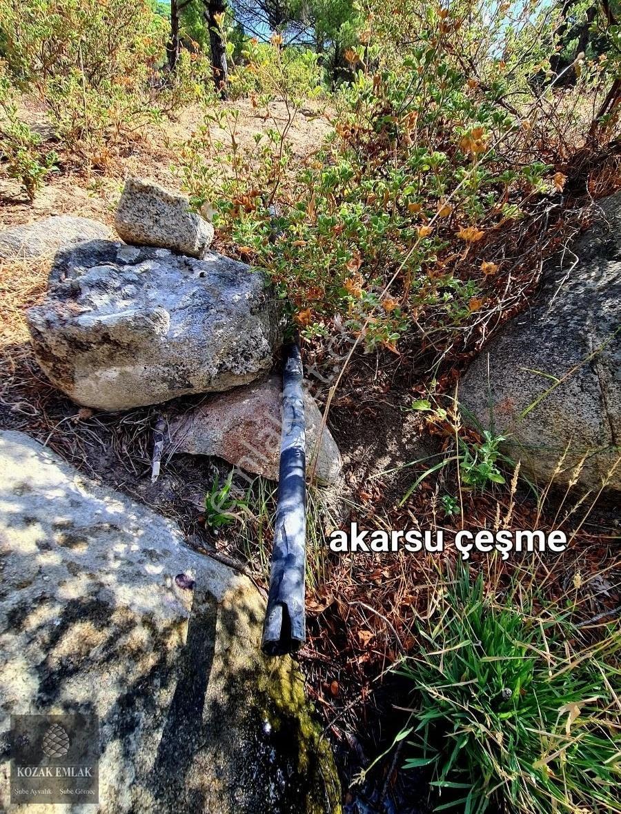 Burhaniye Hacıbozlar Fıstık Çamlığı Tarım İmarlı Satılık - Görsel 14