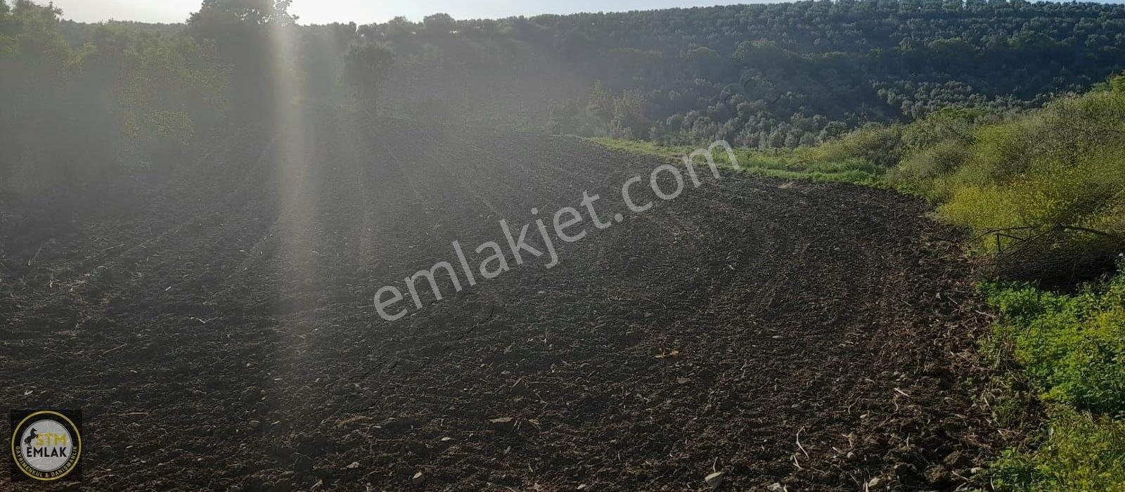 Bandırma Stm Emlak Tan Havutça Mh Satılık Bağ Yeri - Görsel 5