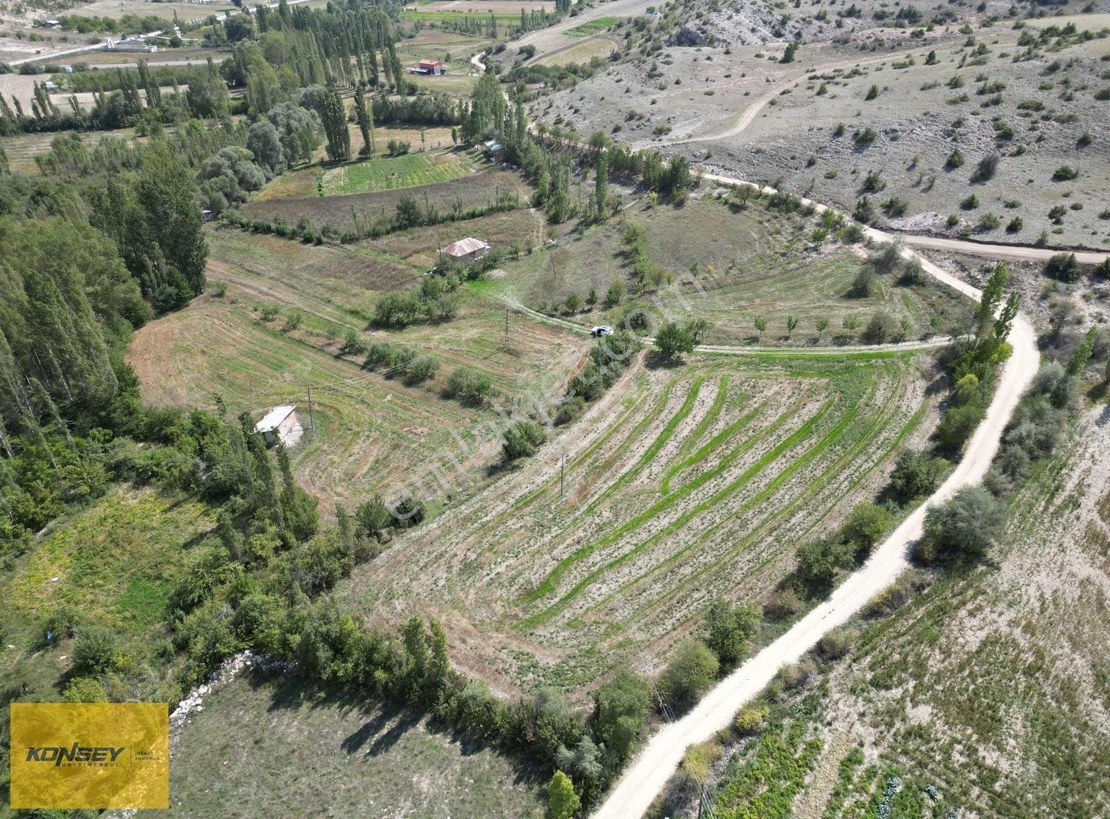 Selçuklu Başarakavakda 4.483 M2 Dere Üzerinde Bahçe Arsası - Görsel 10
