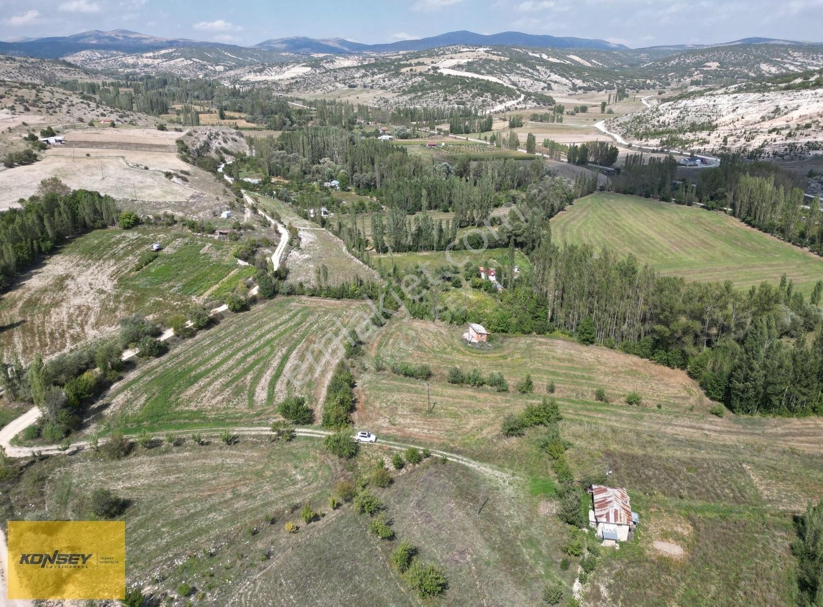 Selçuklu Başarakavakda 4.483 M2 Dere Üzerinde Bahçe Arsası - Görsel 5