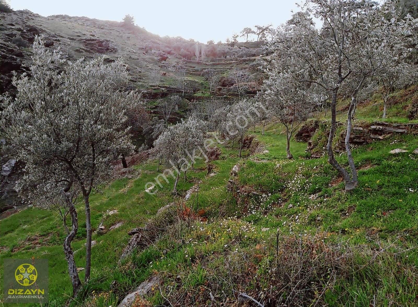 Narhisar Da Bahçe İmarlı - Görsel 18