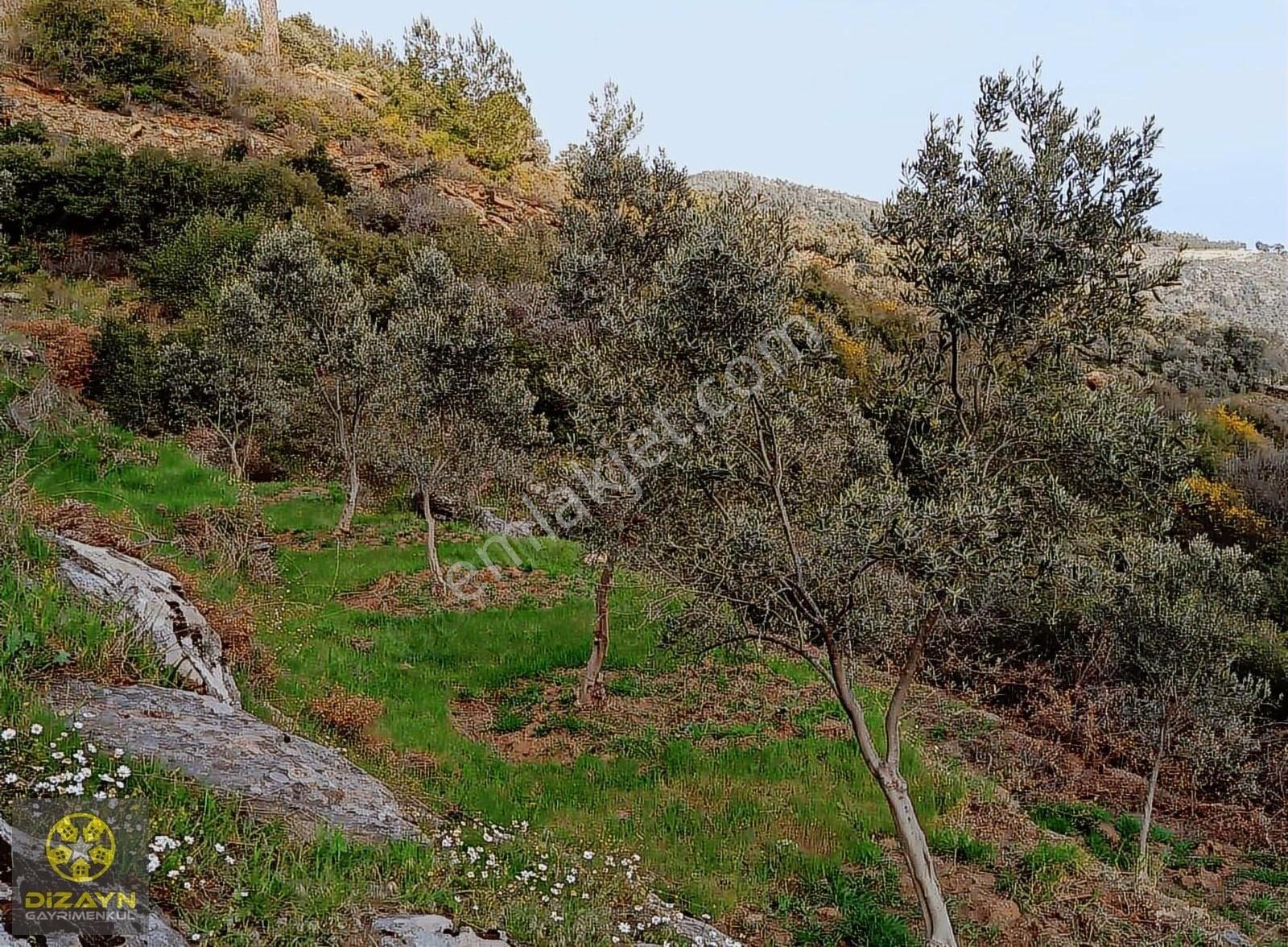 Narhisar Da Bahçe İmarlı - Görsel 4