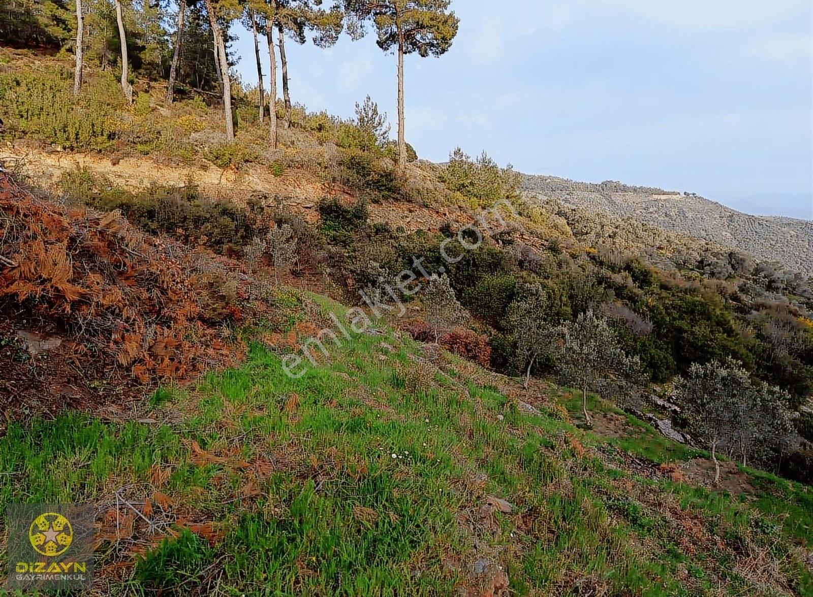 Narhisar Da Bahçe İmarlı - Görsel 12