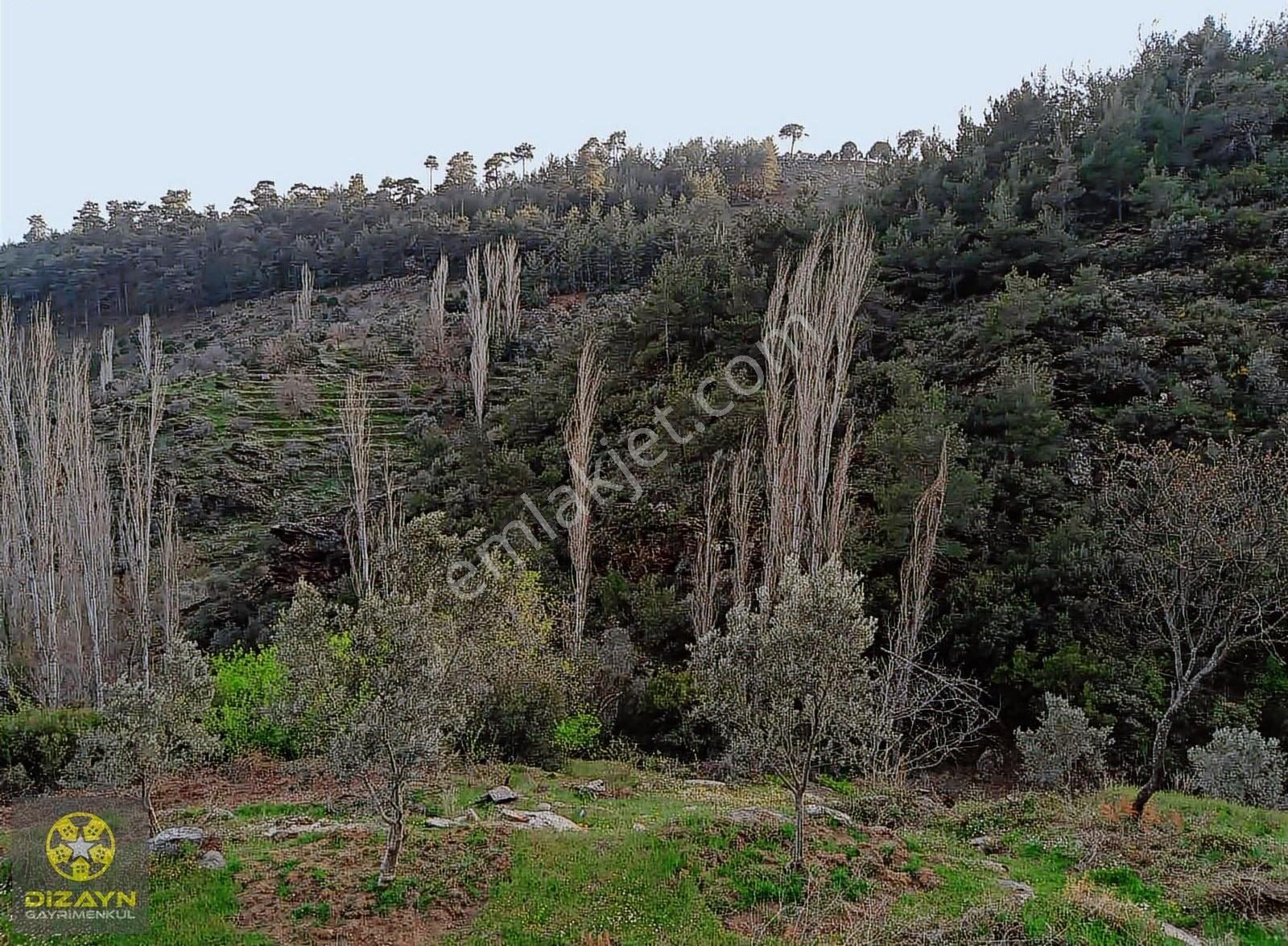 Narhisar Da Bahçe İmarlı - Görsel 16