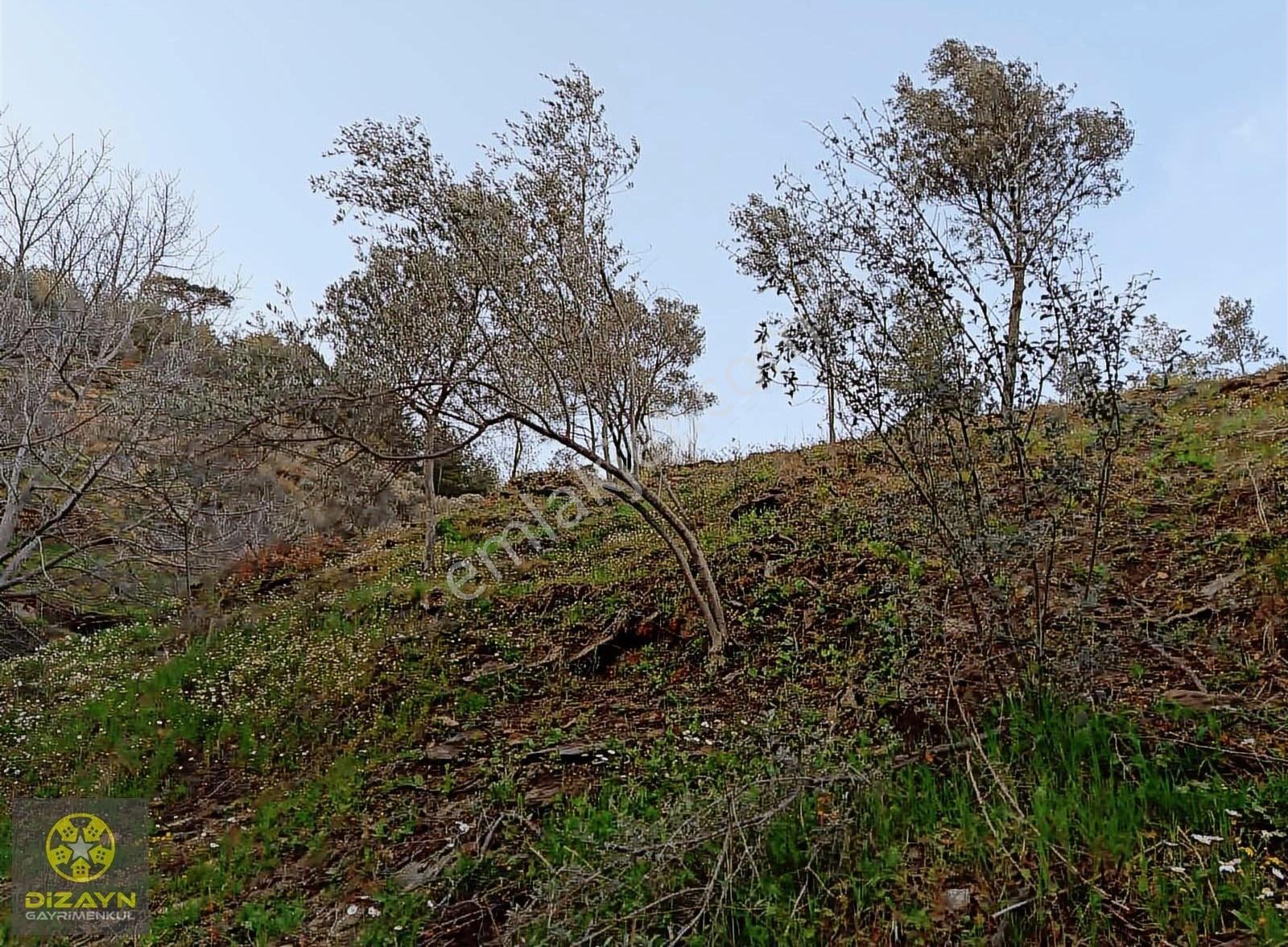 Narhisar Da Bahçe İmarlı - Görsel 21