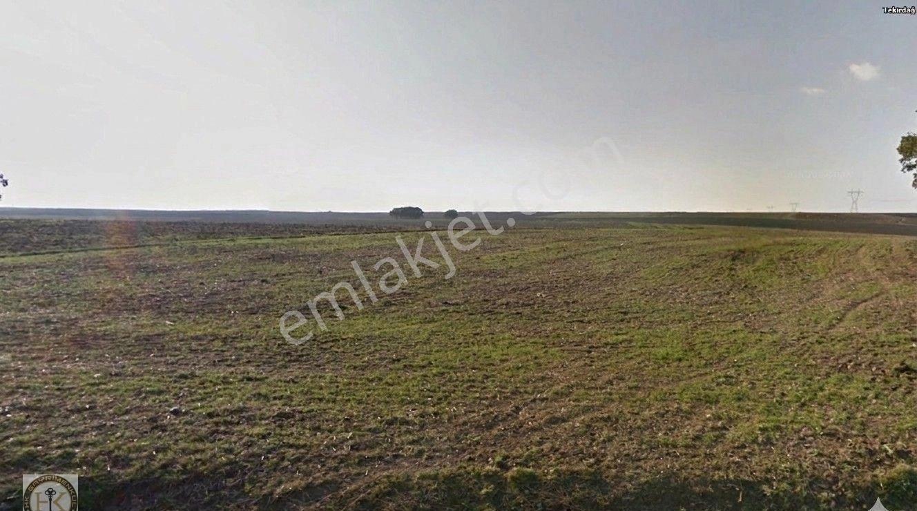 Tekirdağ Çorlu Şahpaz 2142 M² Satılık Arsa - Görsel 6