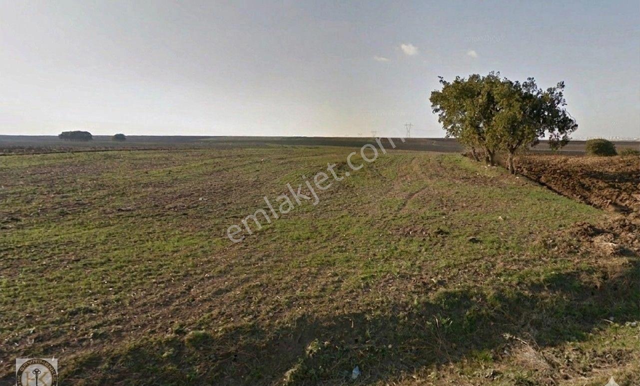Tekirdağ Çorlu Şahpaz 2142 M² Satılık Arsa