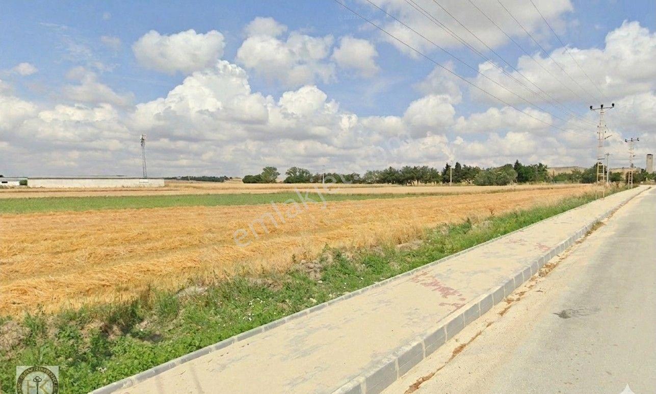 Tekirdağ Marmaraereğlisi Türkmenli 2428 M² Satılık Arsa - Görsel 2