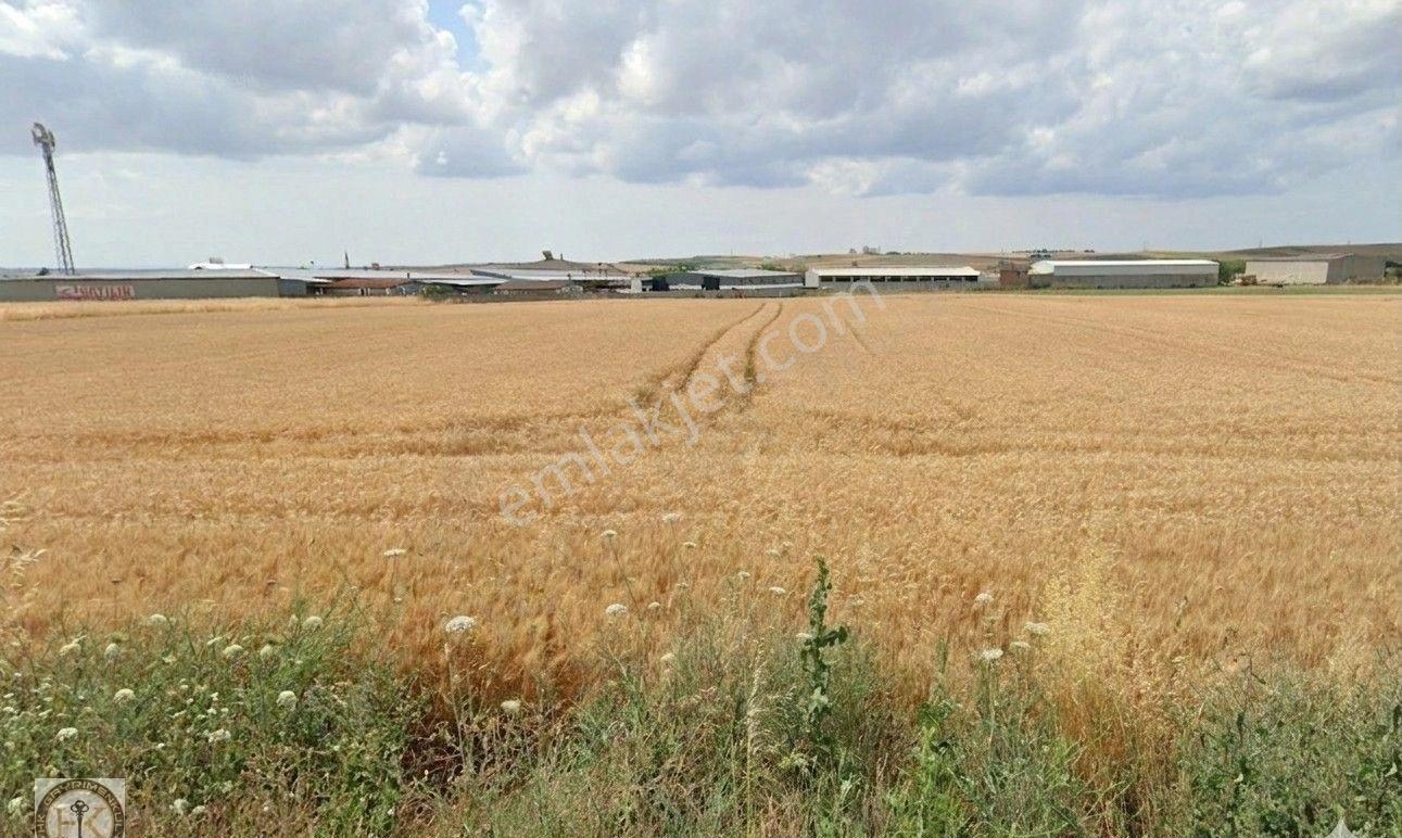 Tekirdağ Marmaraereğlisi Türkmenli 2428 M² Satılık Arsa - Görsel 3