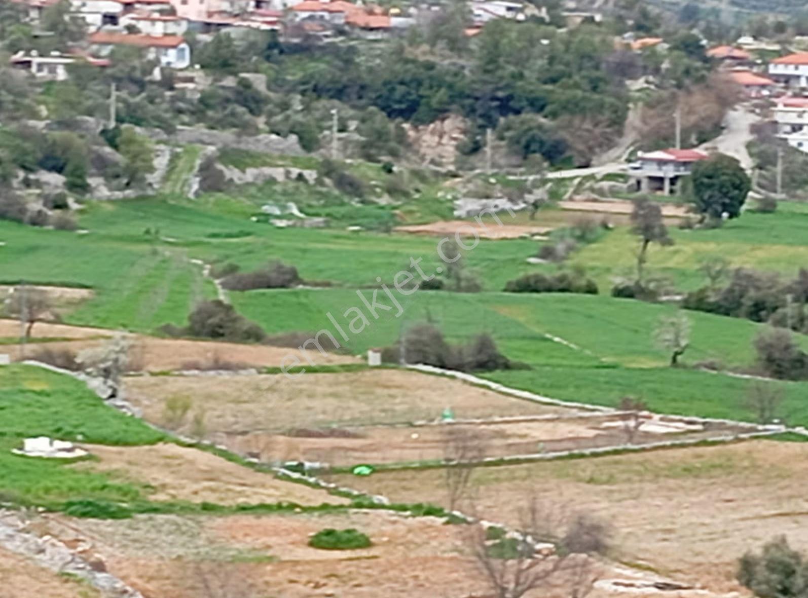 Deniz Ovası Yatırımlık Tarla - Görsel 7