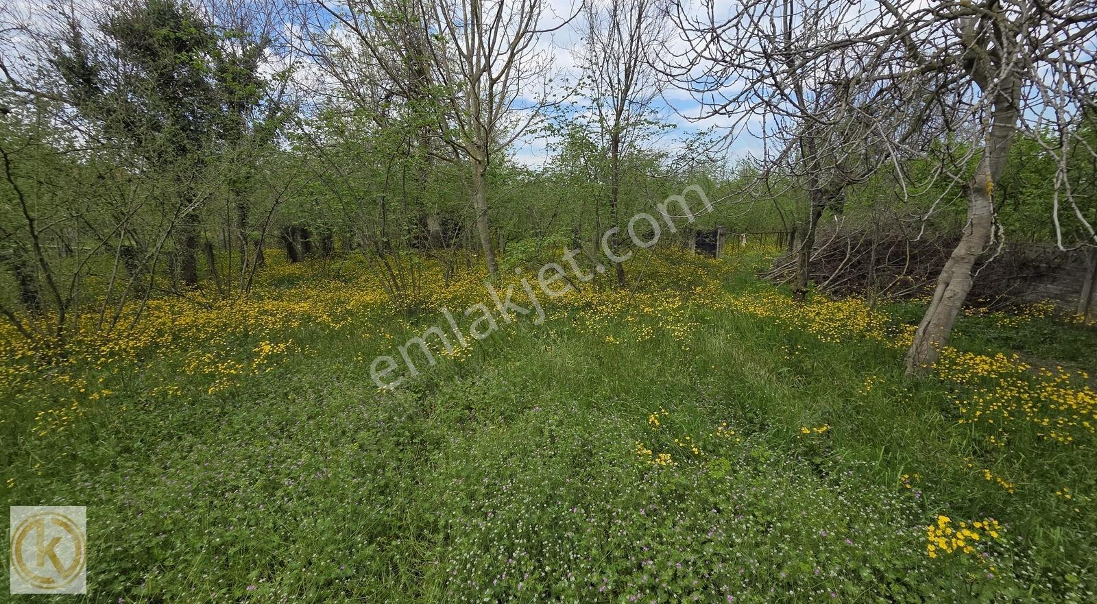 Karapürçek Mesudiyede 2856 M² %40 2 Kat İmarlı Satılık Arsa - Görsel 14