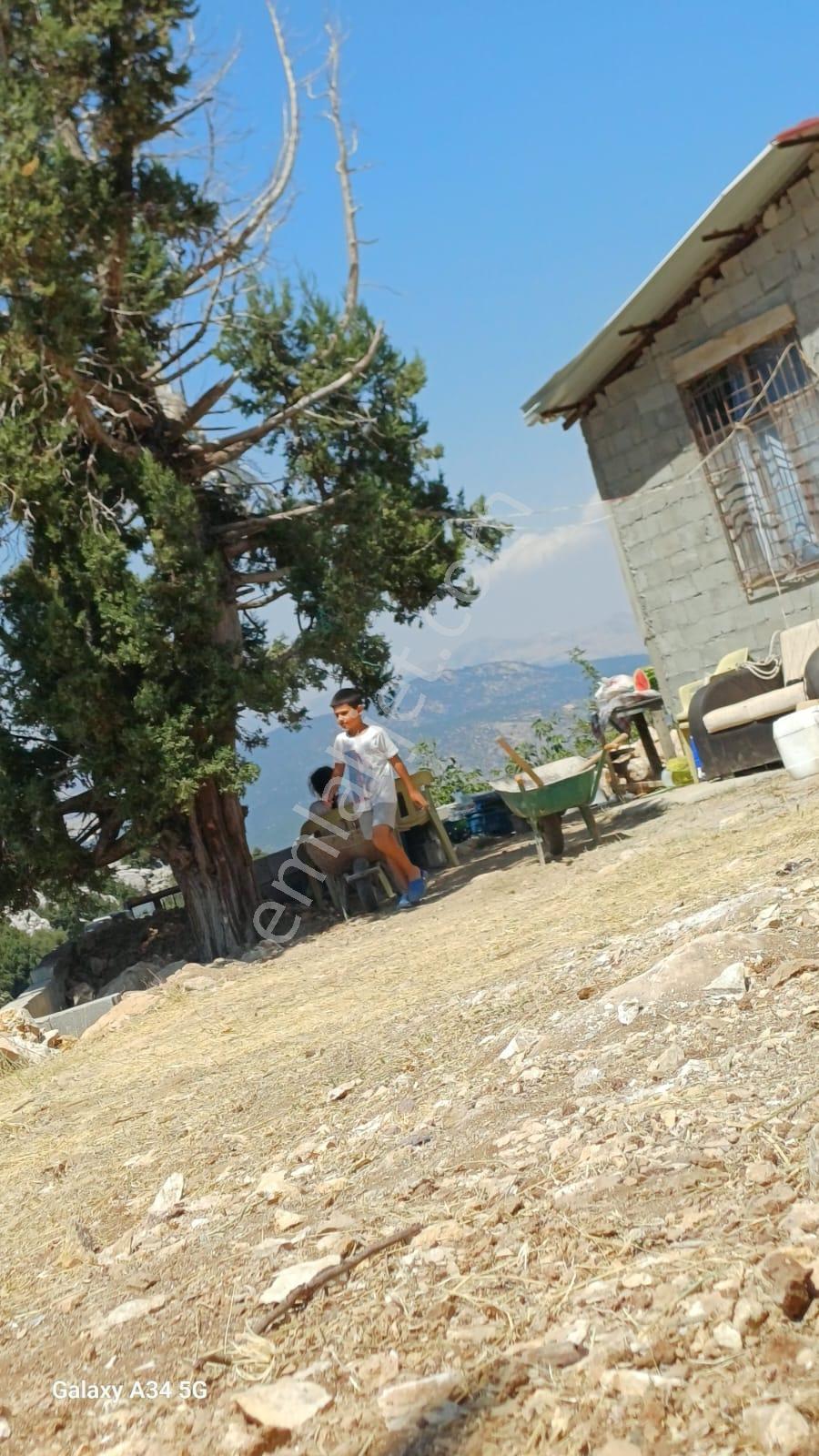 Seydikemer Seki Mh. İçinde Ev Olan Satılık Tarla - Görsel 2