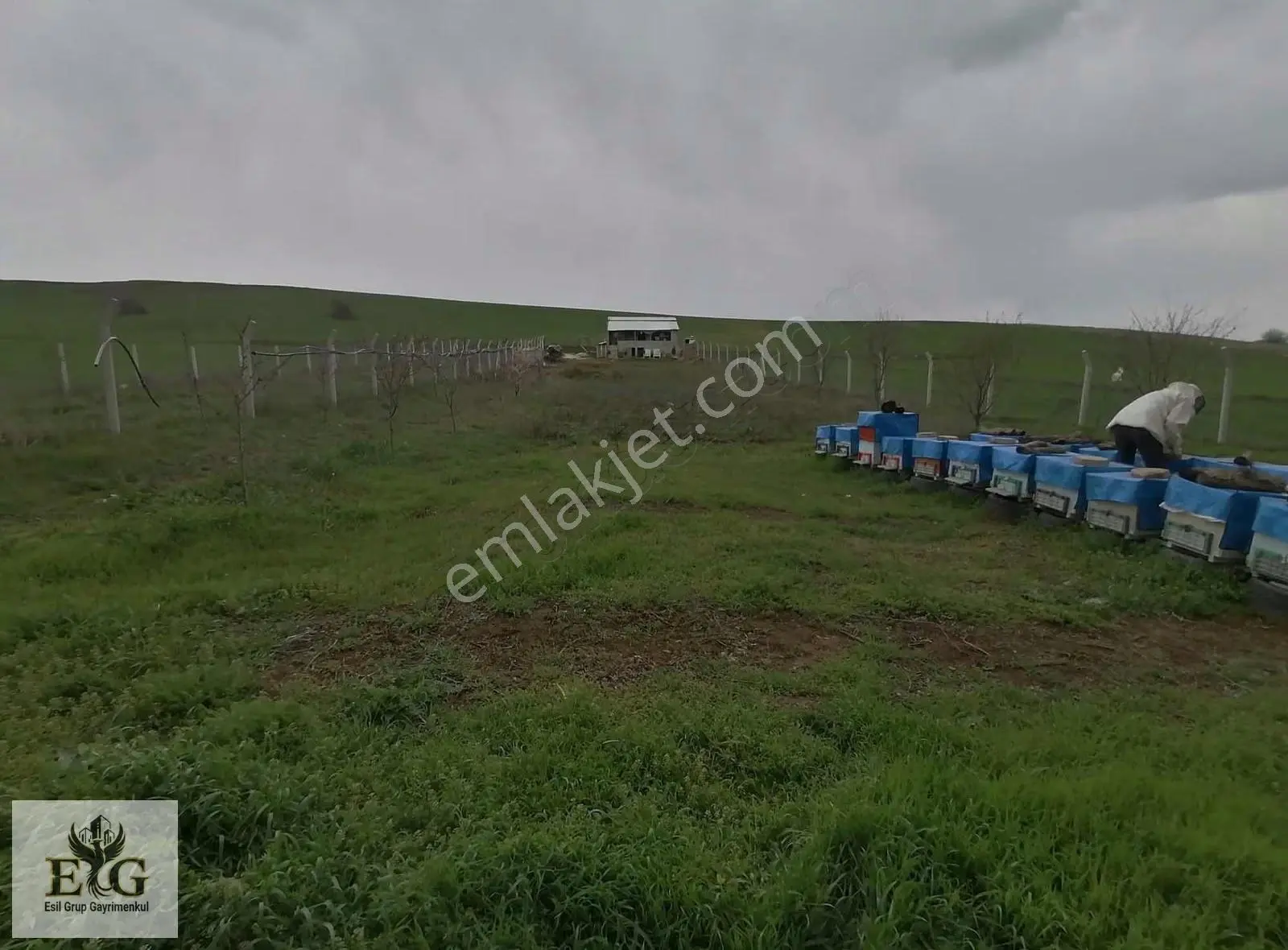 Esil Grup'tan Uludere Mahallesinde İşlek Tarla