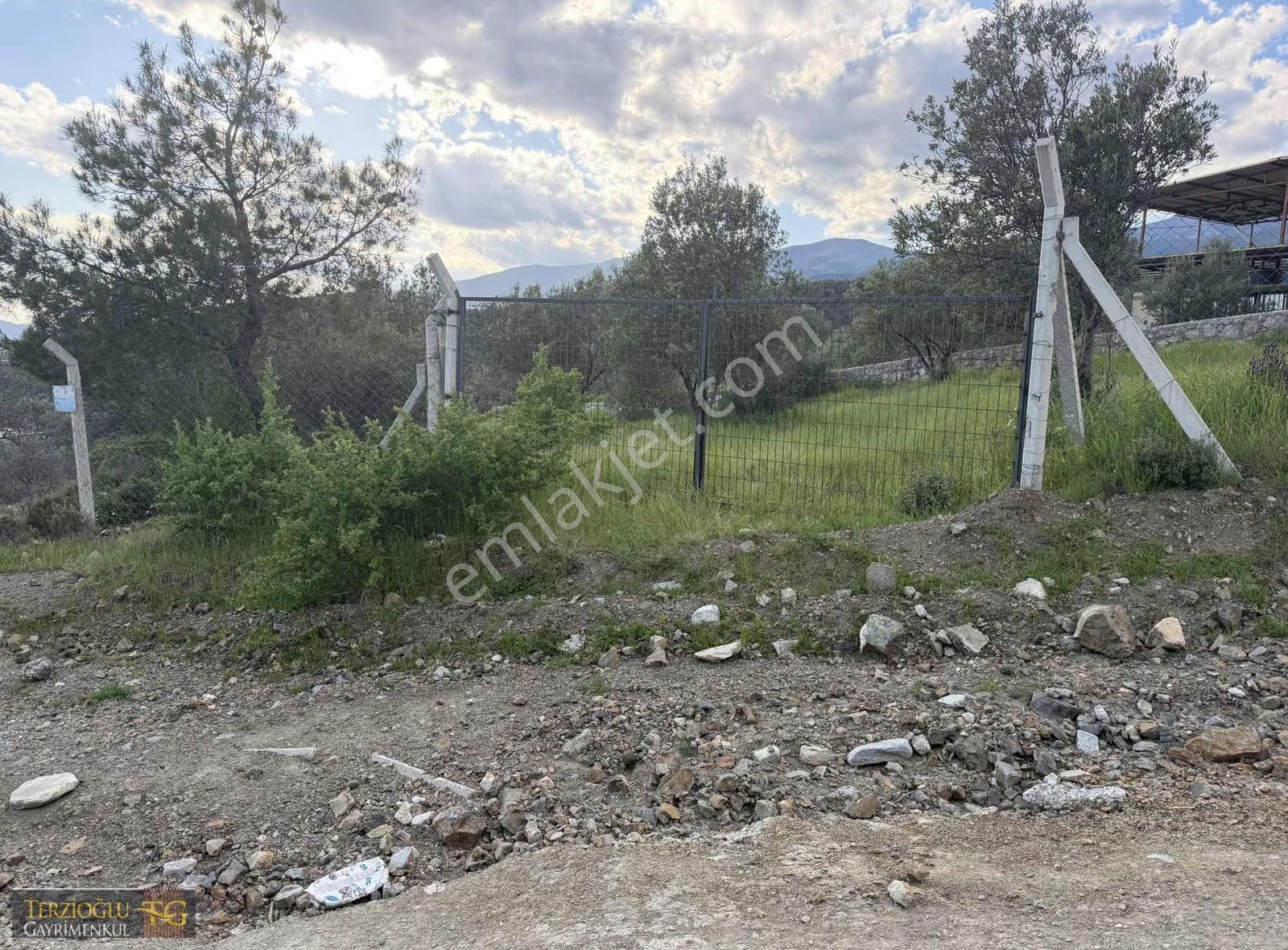 Terzioğlu'ndan Zeytinlide İmara Cok Yakın Deniz M. Zeytinlik - Görsel 9