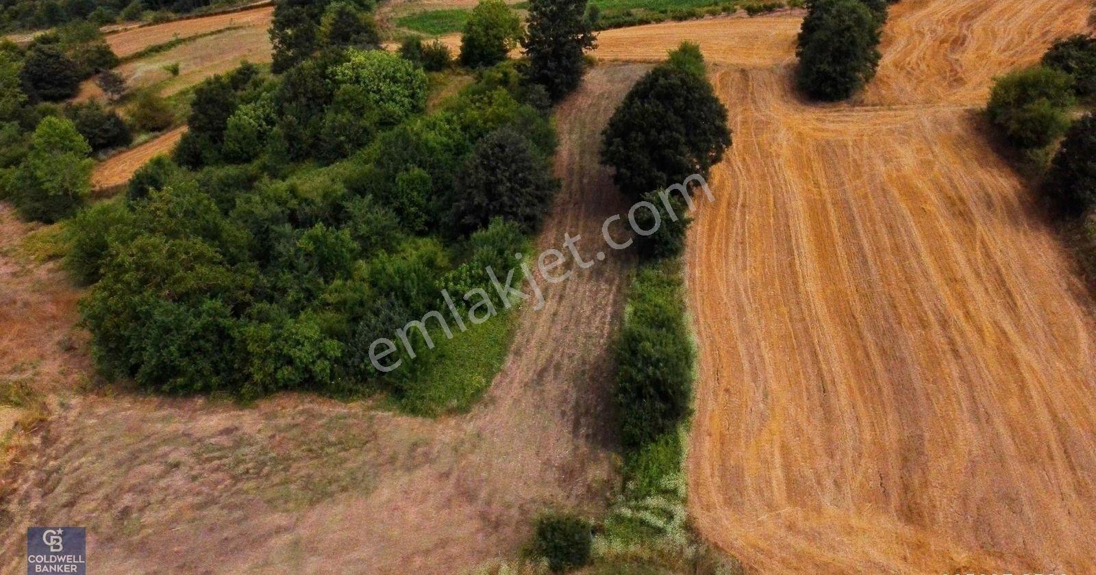 Cb Akademi Ambarcı Köy İçi Konut İmarlı Satılık 1397 M2 Arsa - Görsel 11