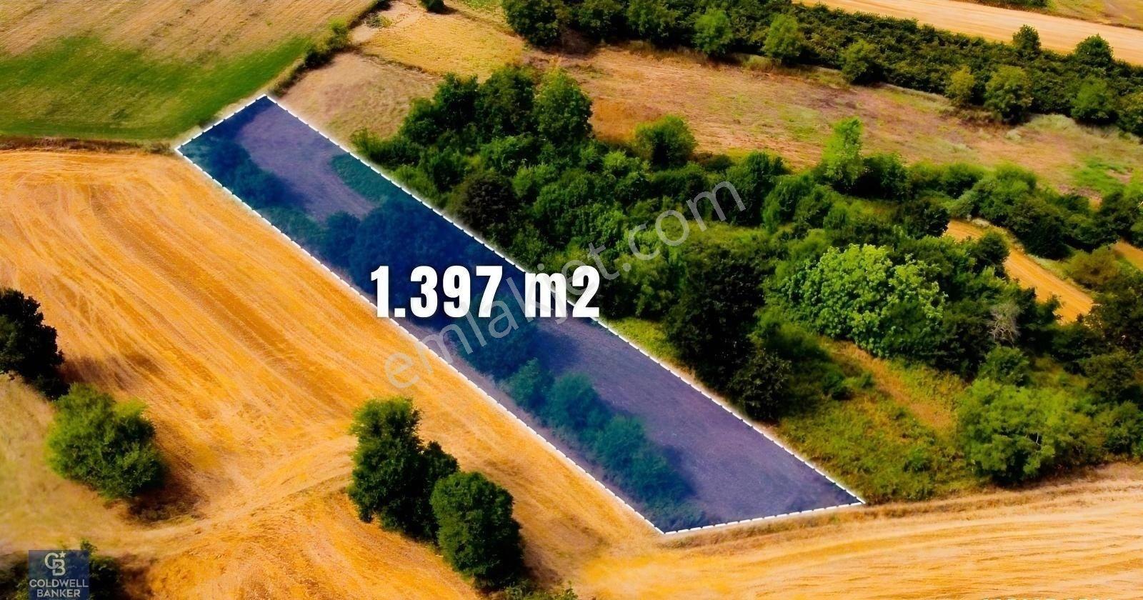 Cb Akademi Ambarcı Köy İçi Konut İmarlı Satılık 1397 M2 Arsa