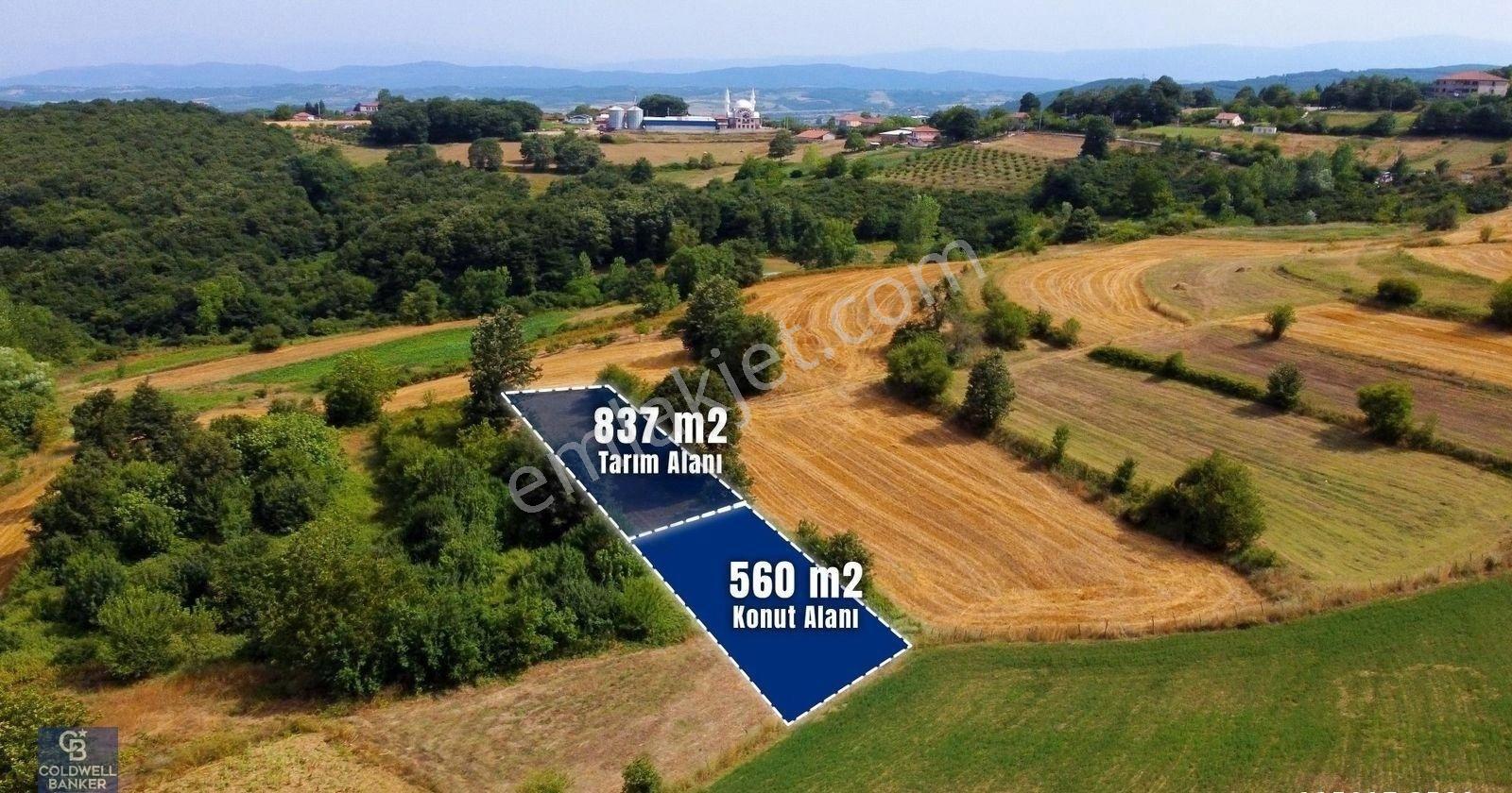 Cb Akademi Ambarcı Köy İçi Konut İmarlı Satılık 1397 M2 Arsa - Görsel 14