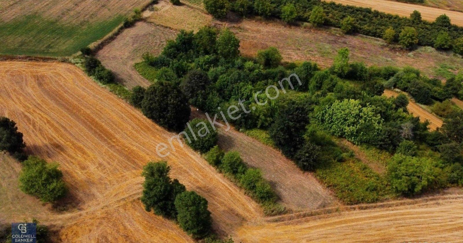 Cb Akademi Ambarcı Köy İçi Konut İmarlı Satılık 1397 M2 Arsa - Görsel 7