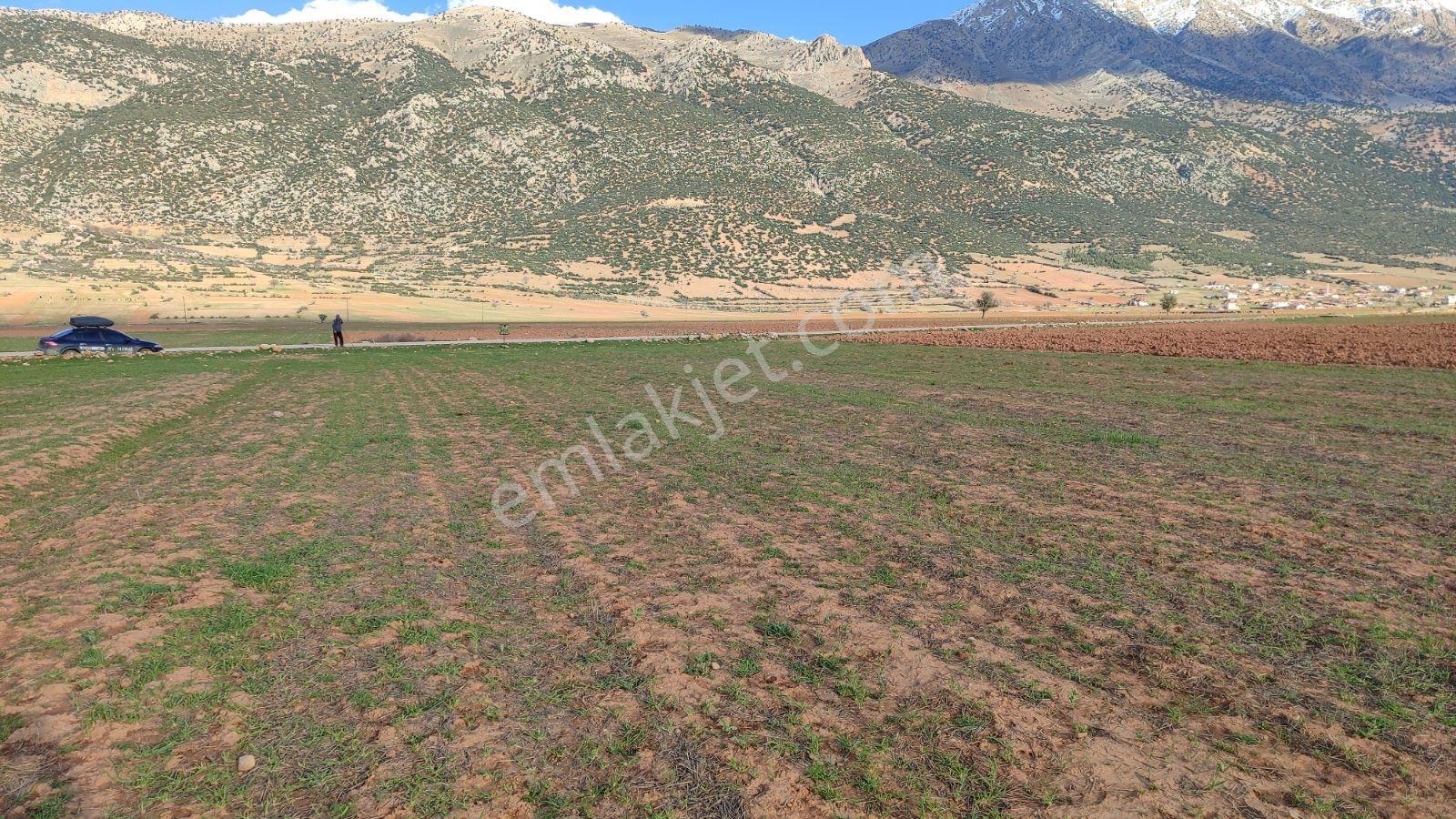 Korkuteli İmecik Köyü Satılık 1.494m2 Tarla Resmi Yol Var - Görsel 30