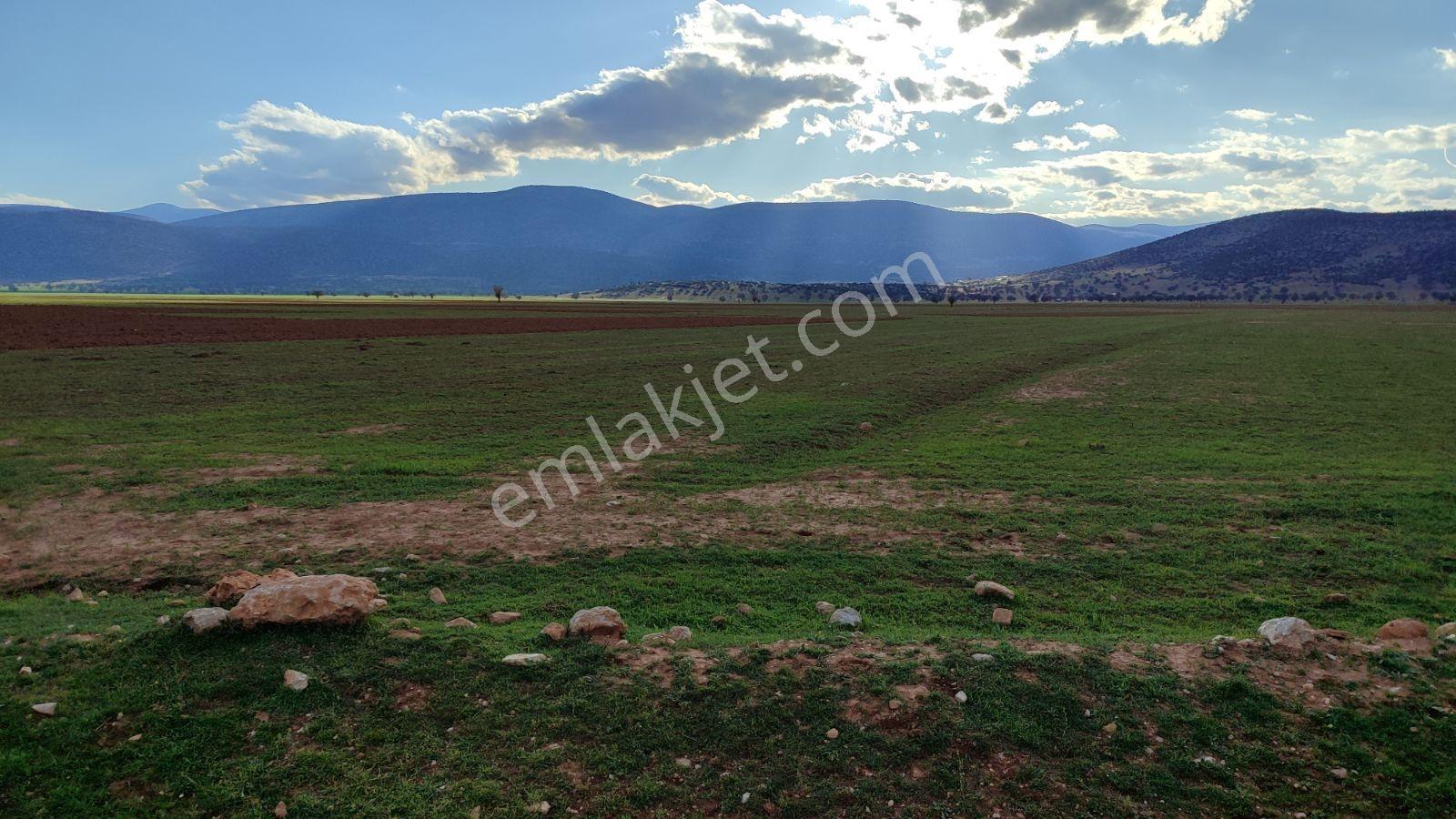 Korkuteli İmecik Köyü Satılık 1.494m2 Tarla Resmi Yol Var - Görsel 27
