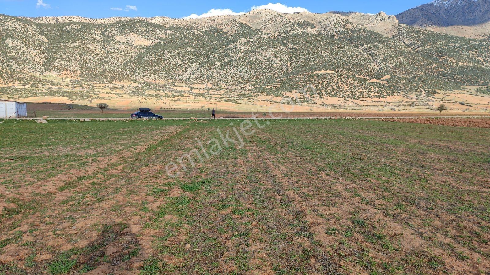 Korkuteli İmecik Köyü Satılık 1.494m2 Tarla Resmi Yol Var - Görsel 18
