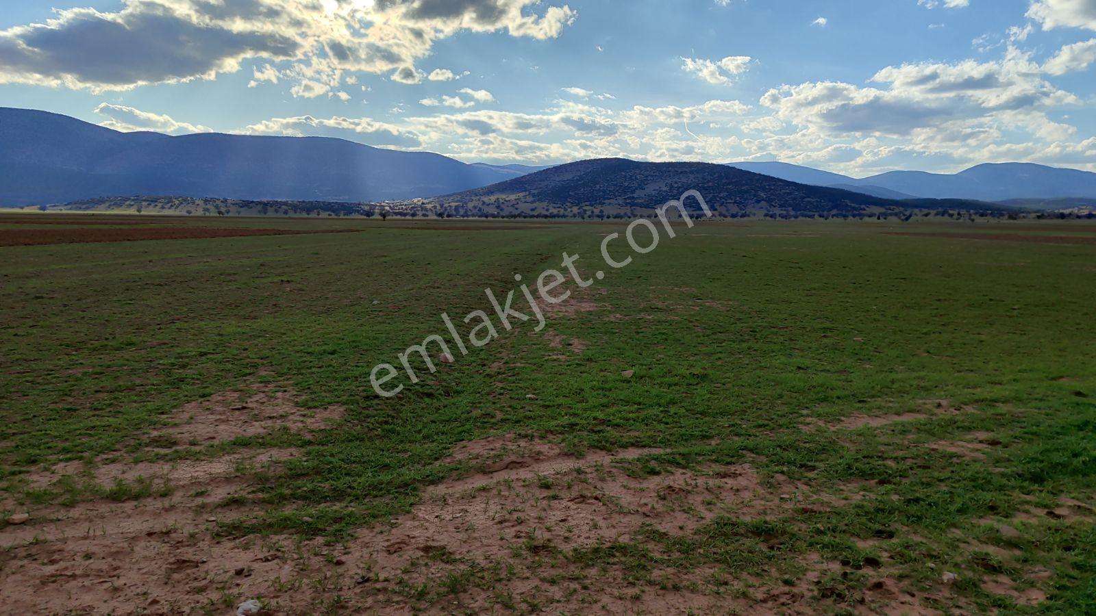 Korkuteli İmecik Köyü Satılık 1.494m2 Tarla Resmi Yol Var - Görsel 15