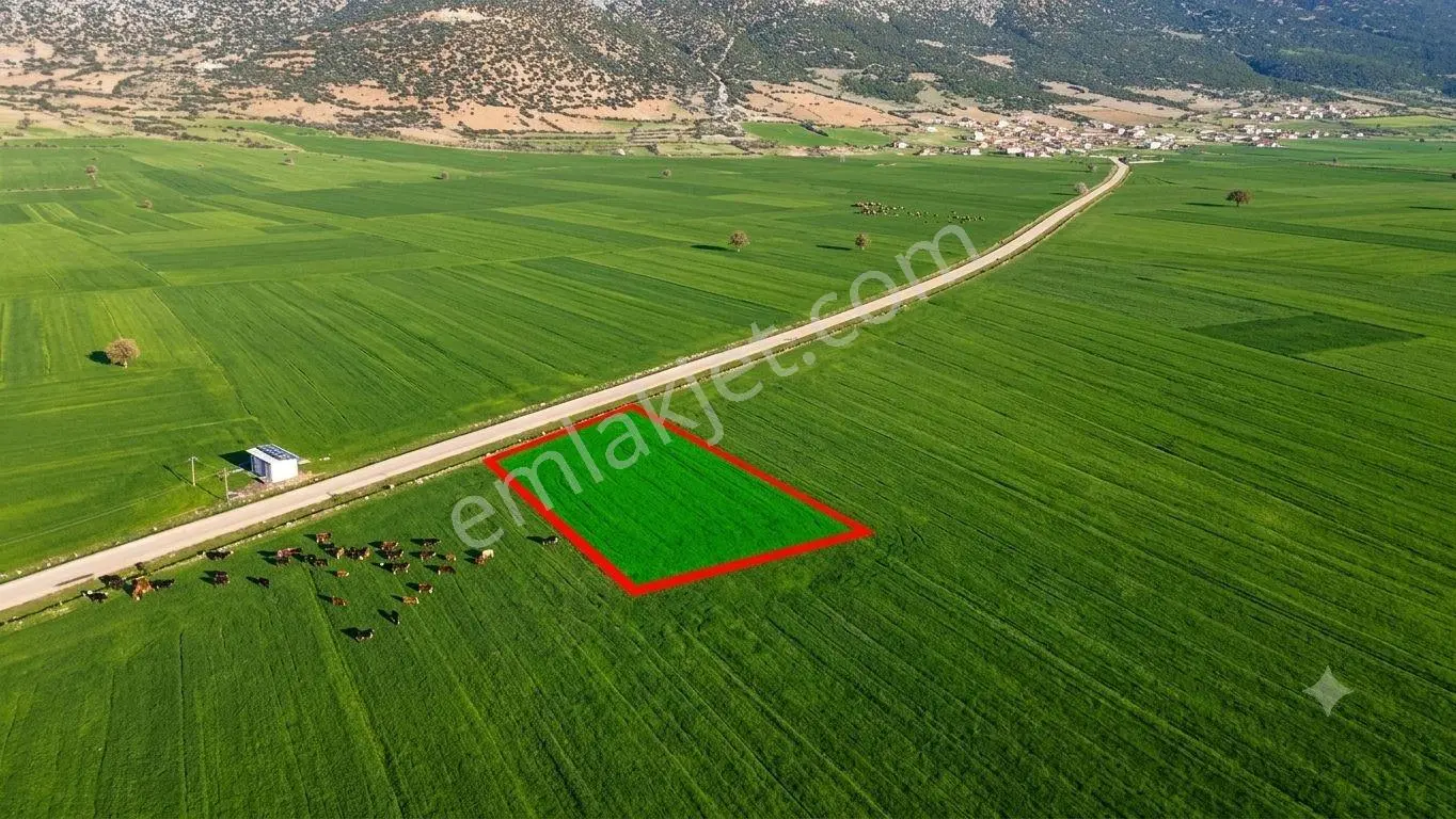 KORKUTELİ İMECİK KÖYÜ SATILIK 1.494M2 TARLA RESMİ YOL VAR - Görünüm 2