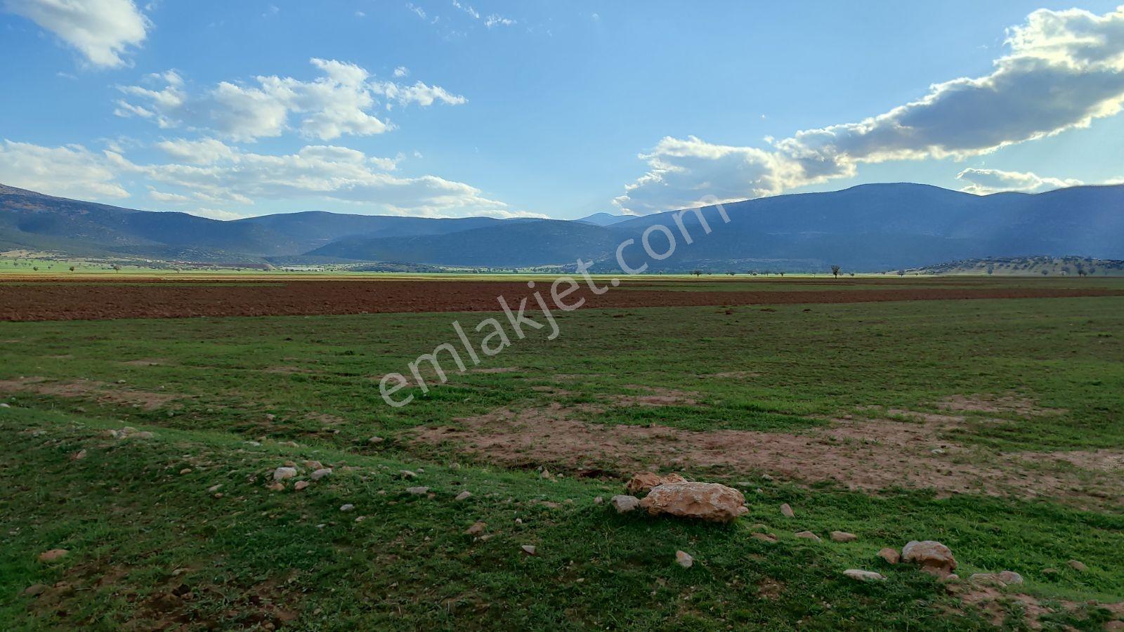 Korkuteli İmecik Köyü Satılık 1.494m2 Tarla Resmi Yol Var - Görsel 14