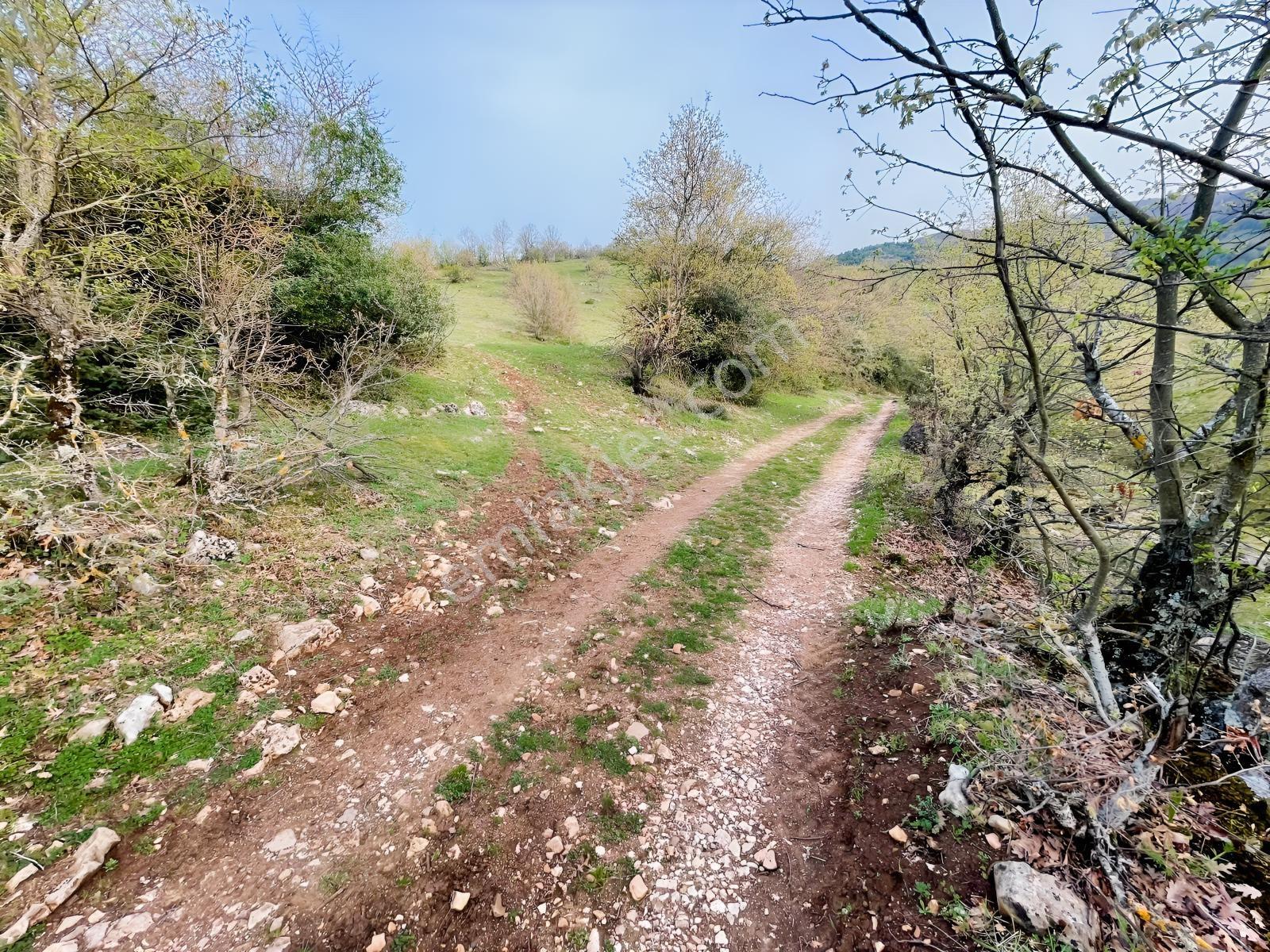 Hega İnvest'ten Kepsut Gökköy'de Kupon Tarla - Görsel 8