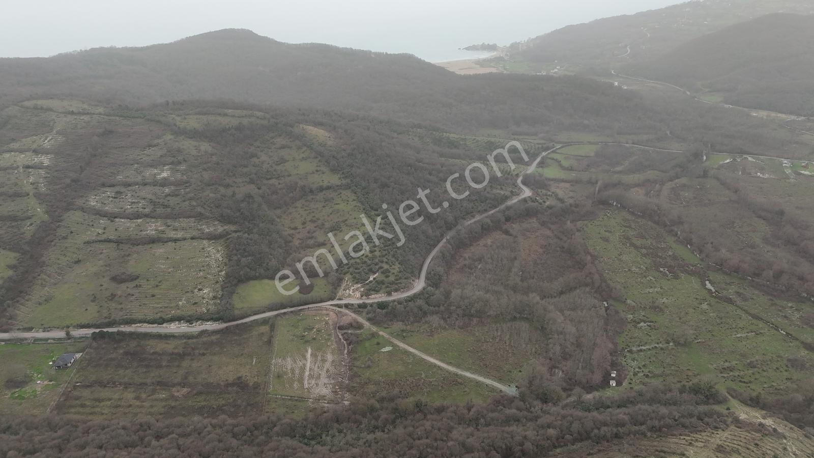 Bartın Hatipler Mugada Bölgesinde 7500 M² Konut İmarlı Parseller - Görsel 19