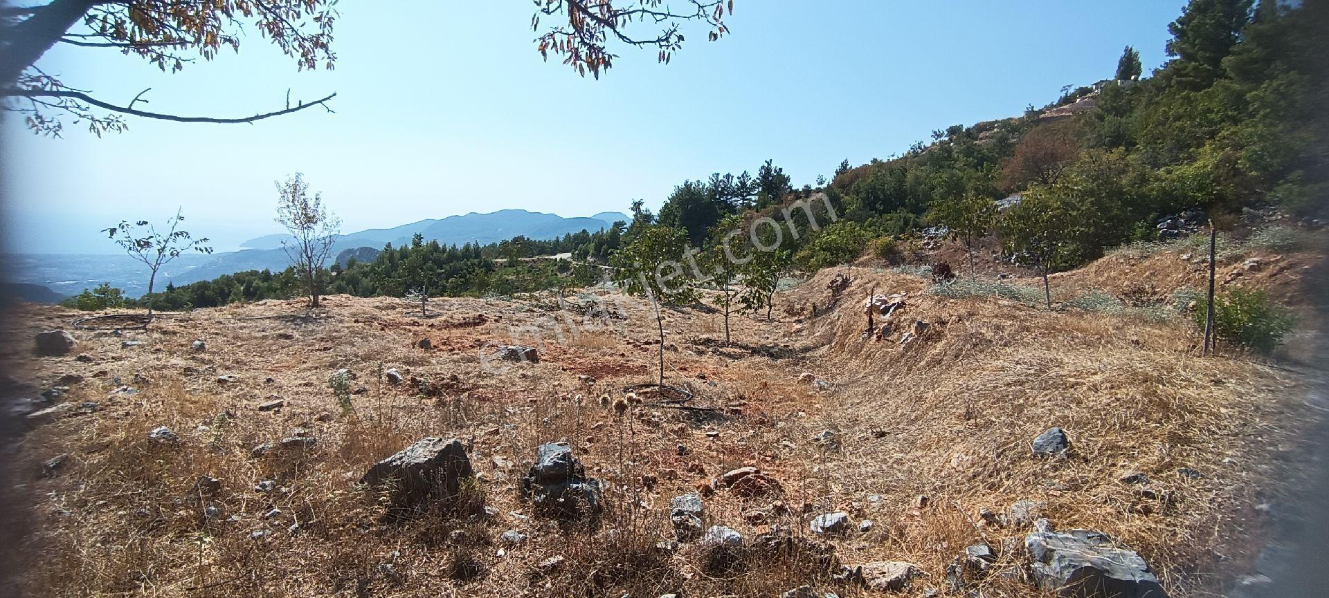 Bademağacı Köyünde - Görsel 8