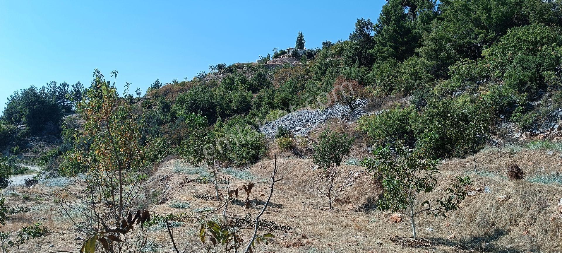 Bademağacı Köyünde - Görsel 15