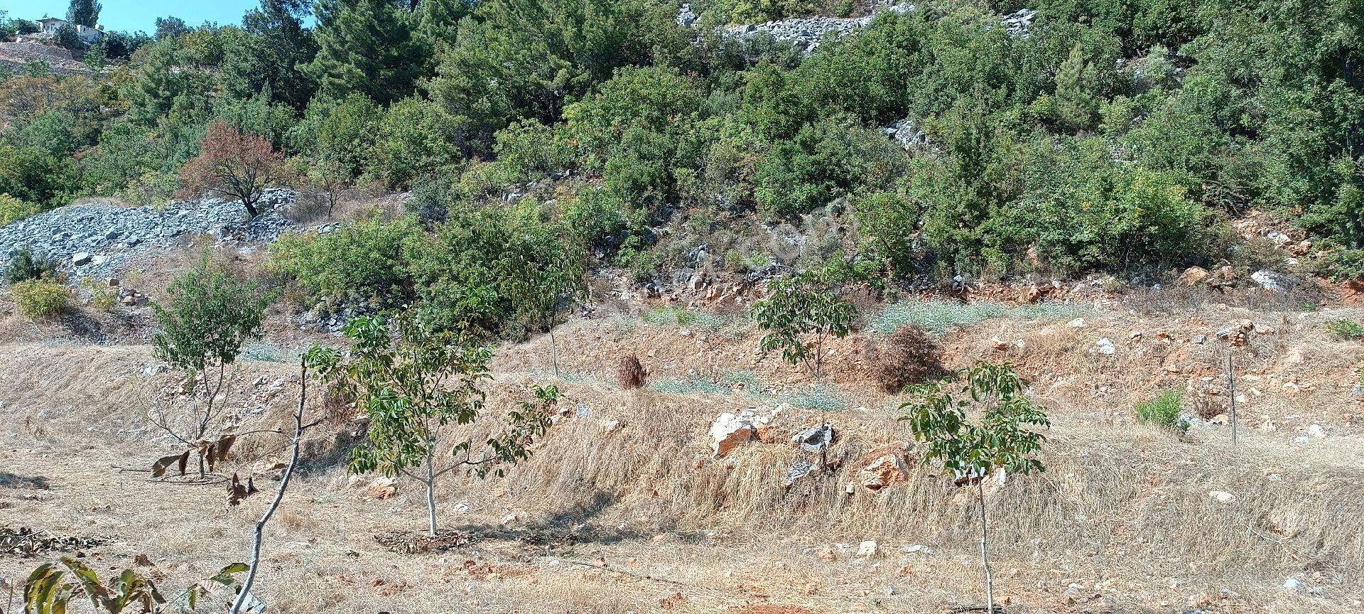 Bademağacı Köyünde - Görsel 9